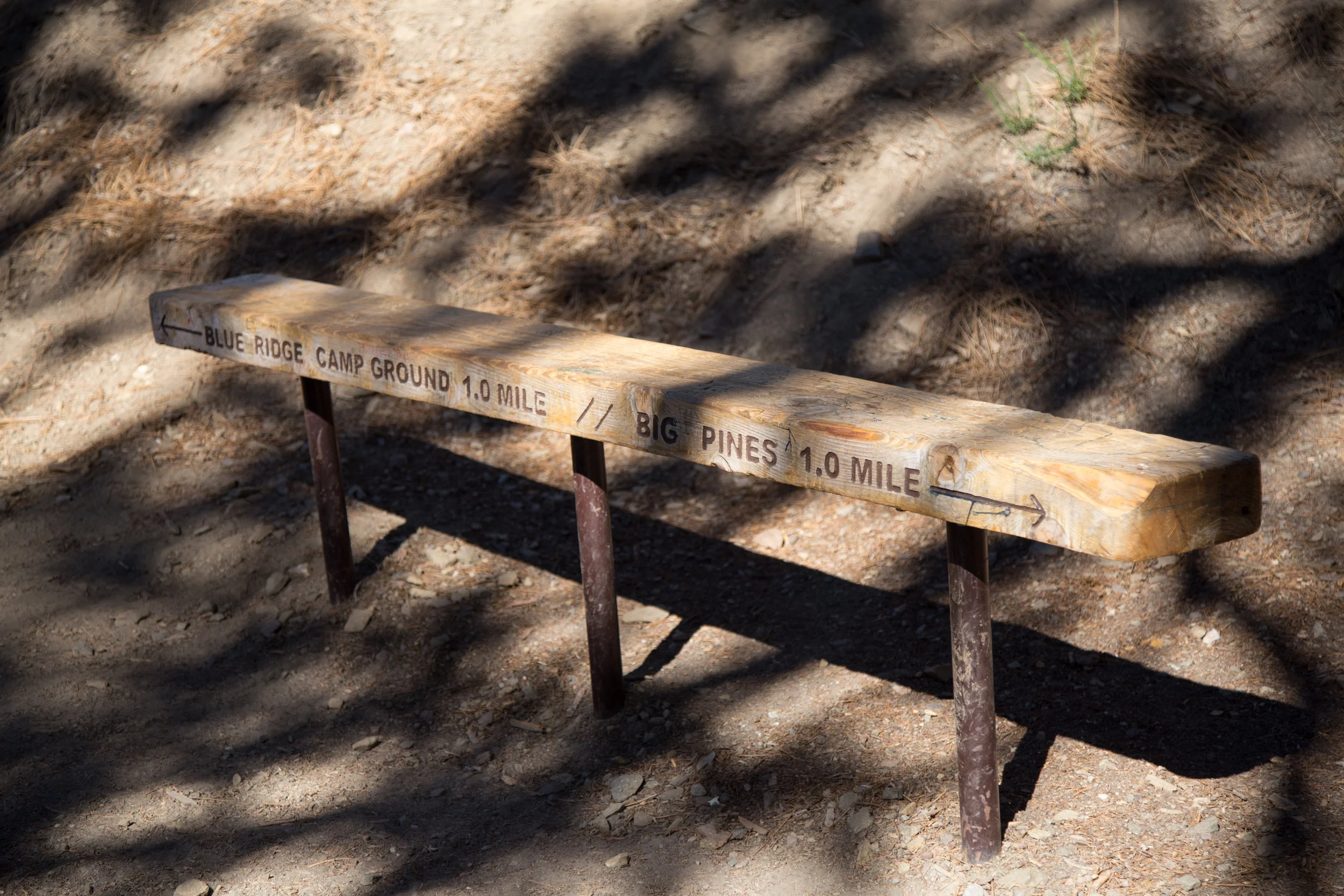 This bench marks the half-way point from the beginning of the trail head to the Blue Ridge Campground.