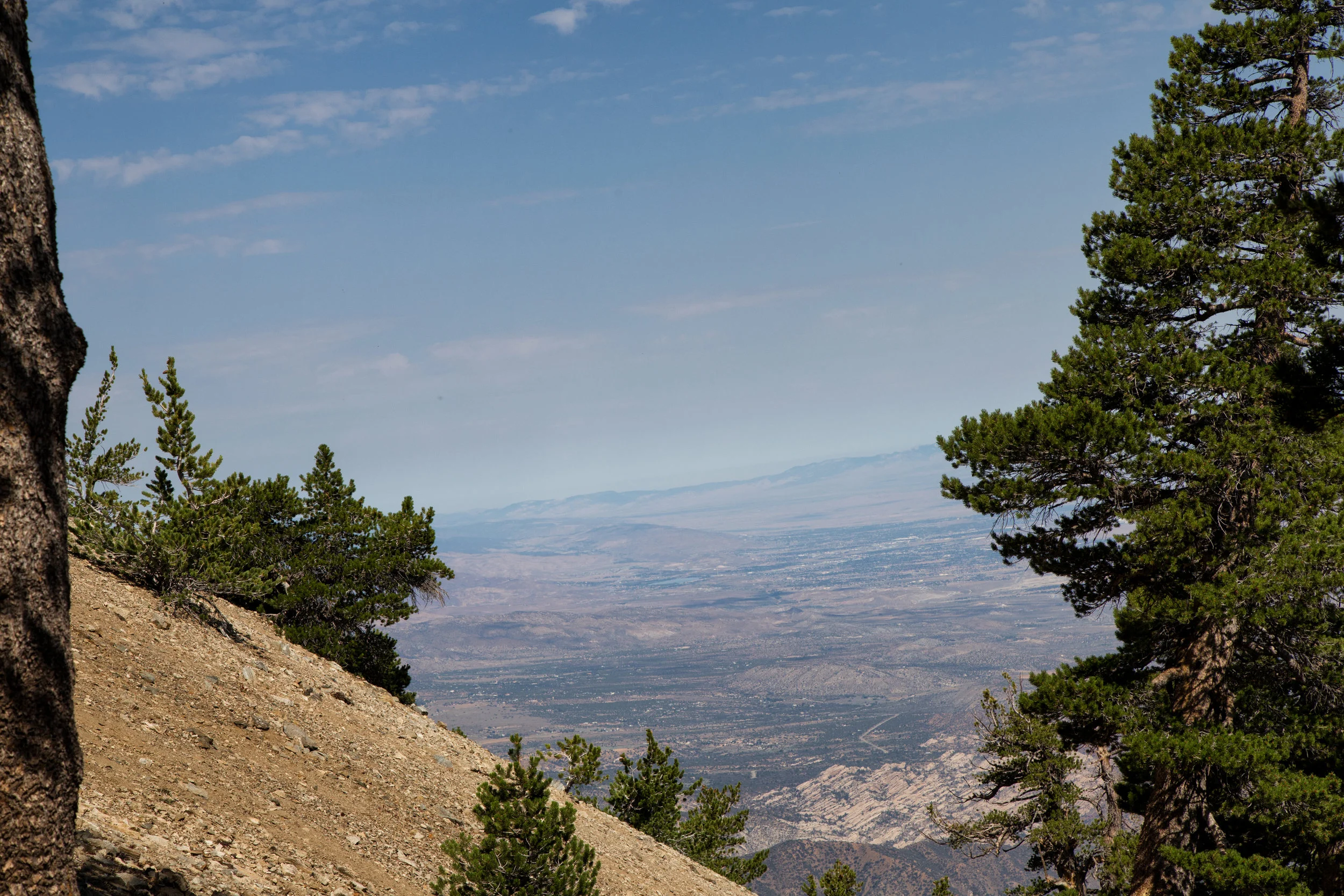 This is the view at 8,907 ft. It was a clear day and on the way up we took in spectacular views of the Mojave and the LA Basin.