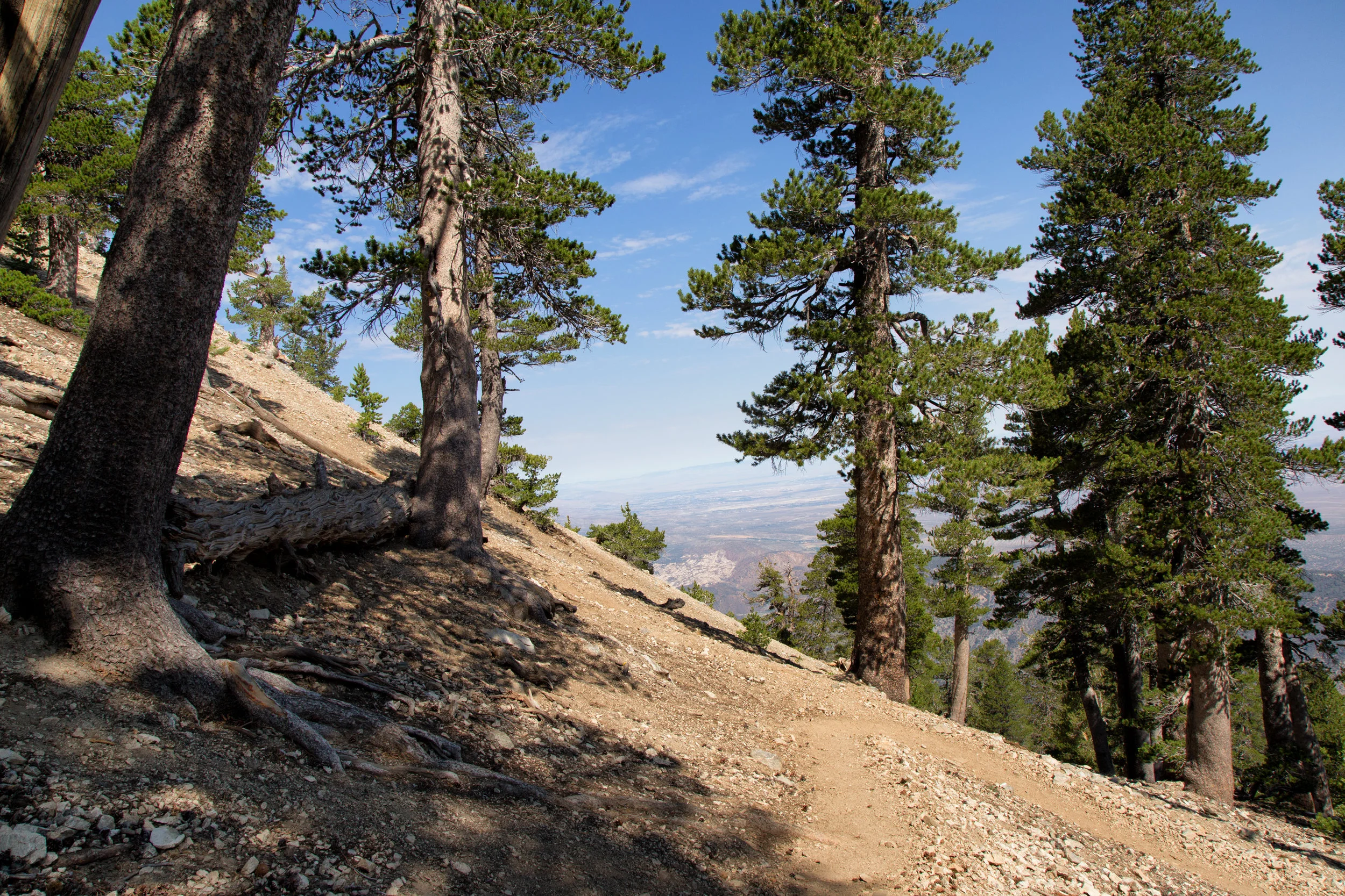 Looking back at one of the many switchbacks.