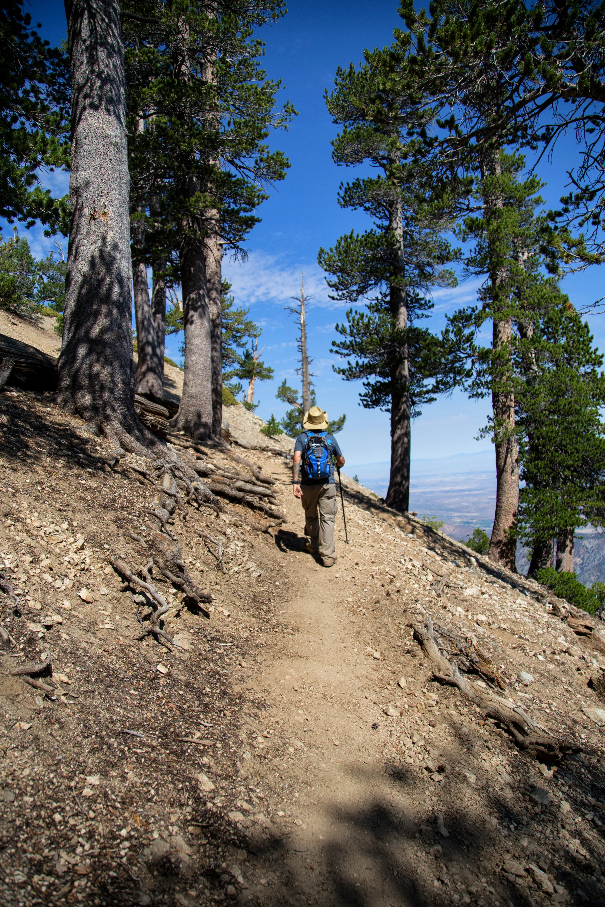 My husband walking up the trail.