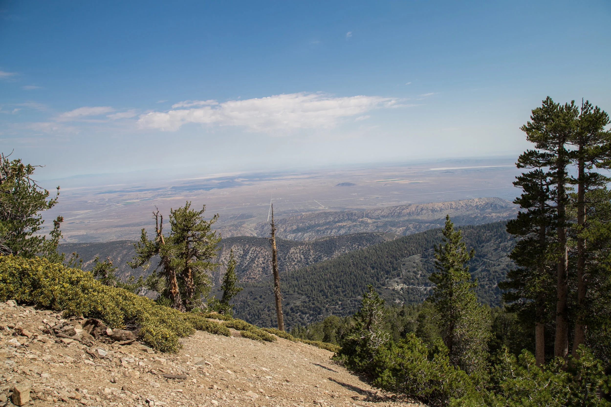 9,013 ft.