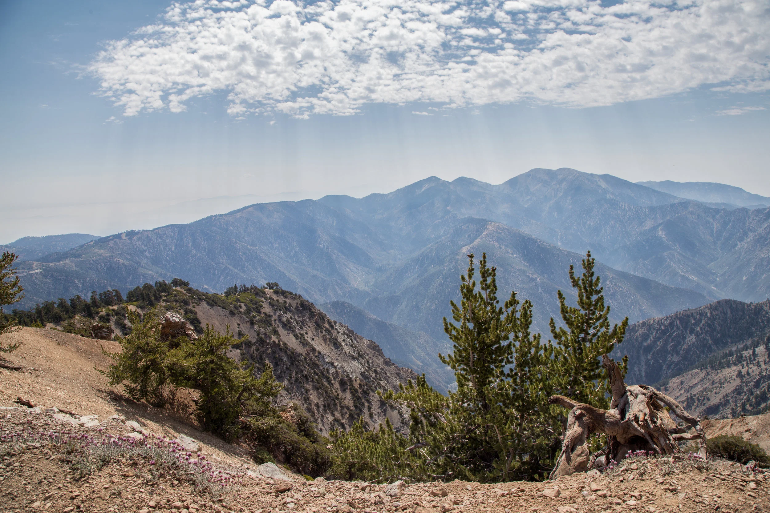 On the ridge. I didn't really like looking down, but those views! Wow!