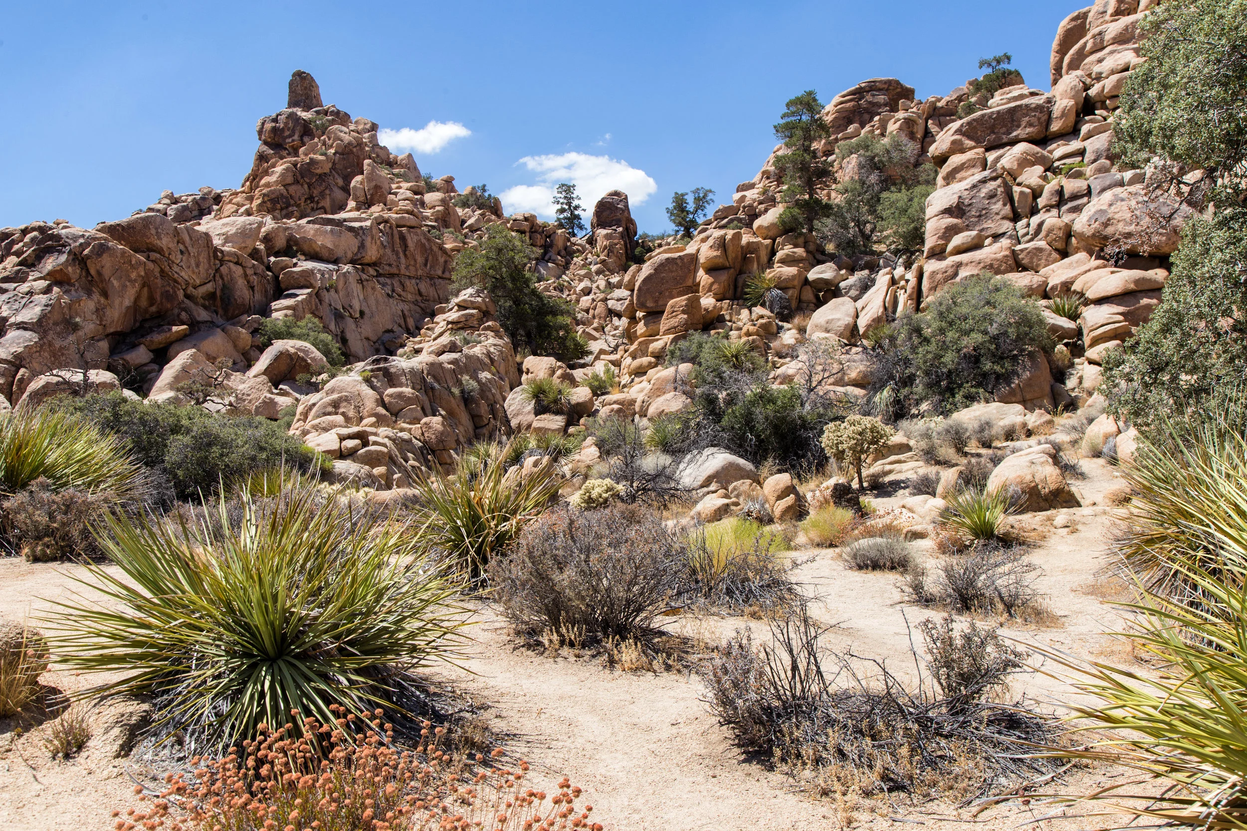 Hidden Valley