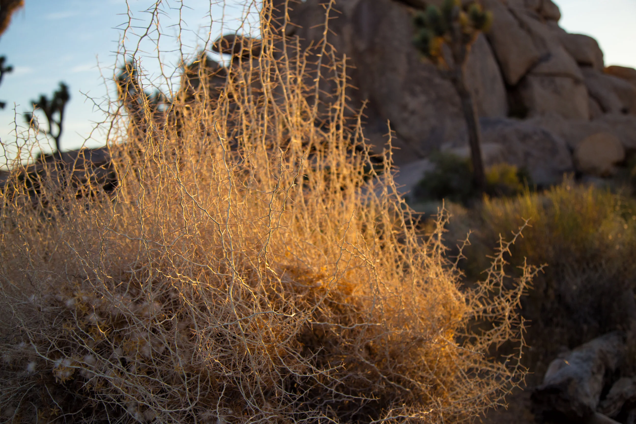 Sunset at Cap Rock.