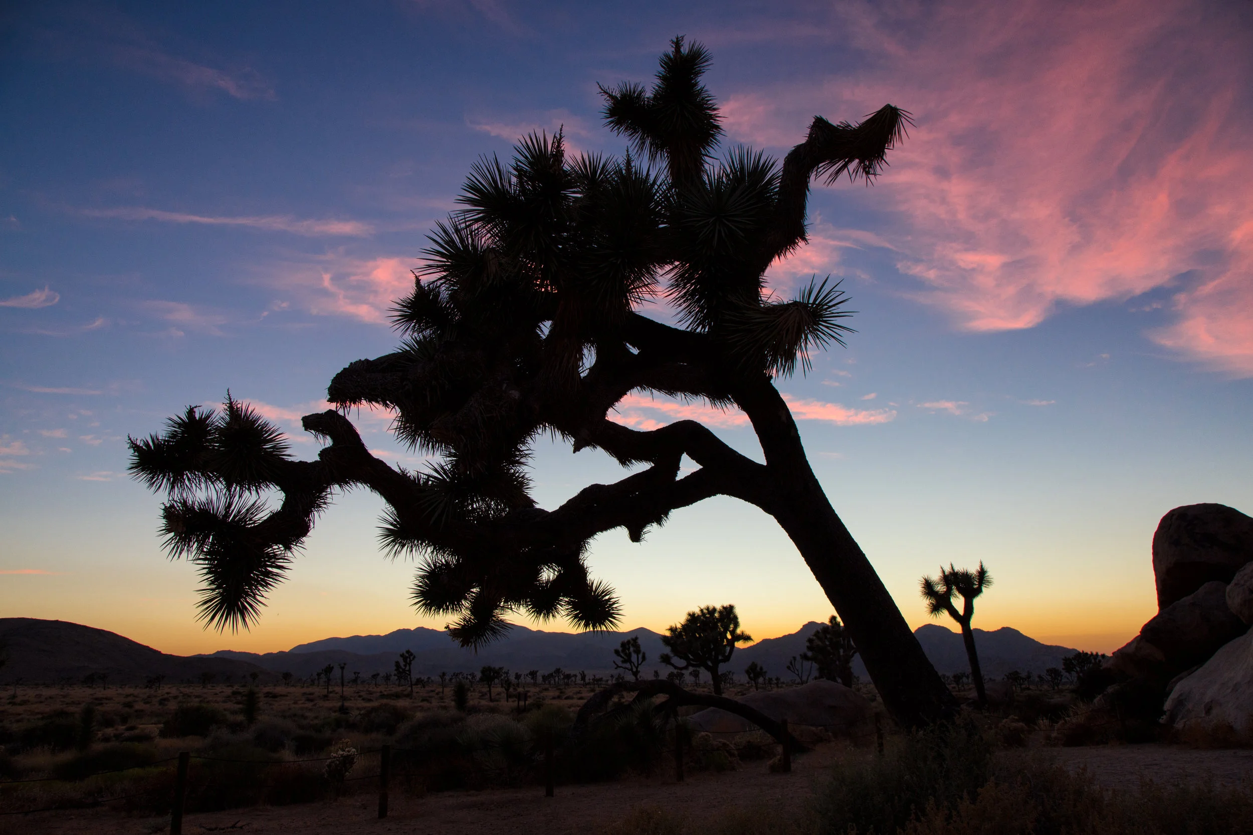 Sunset at Cap Rock.