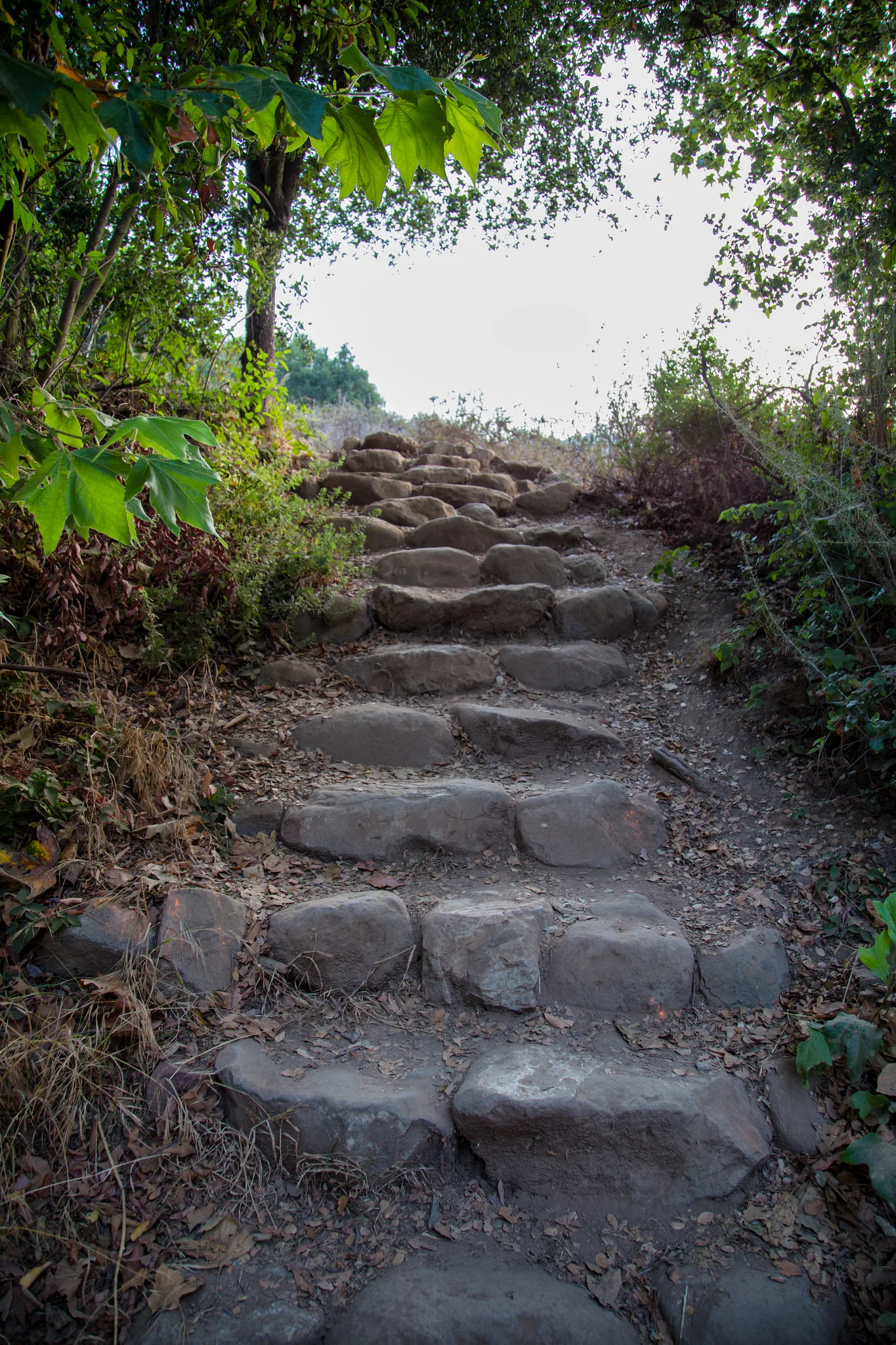 Steps at the trailhead leading up to the Rising Sun Trail which takes you to Tropical Terrace and the Solstice Canyon Falls. You can also take the easier, paved Solstice Canyon Trail directly there, but if you want to do a little work, take Rising Sun.