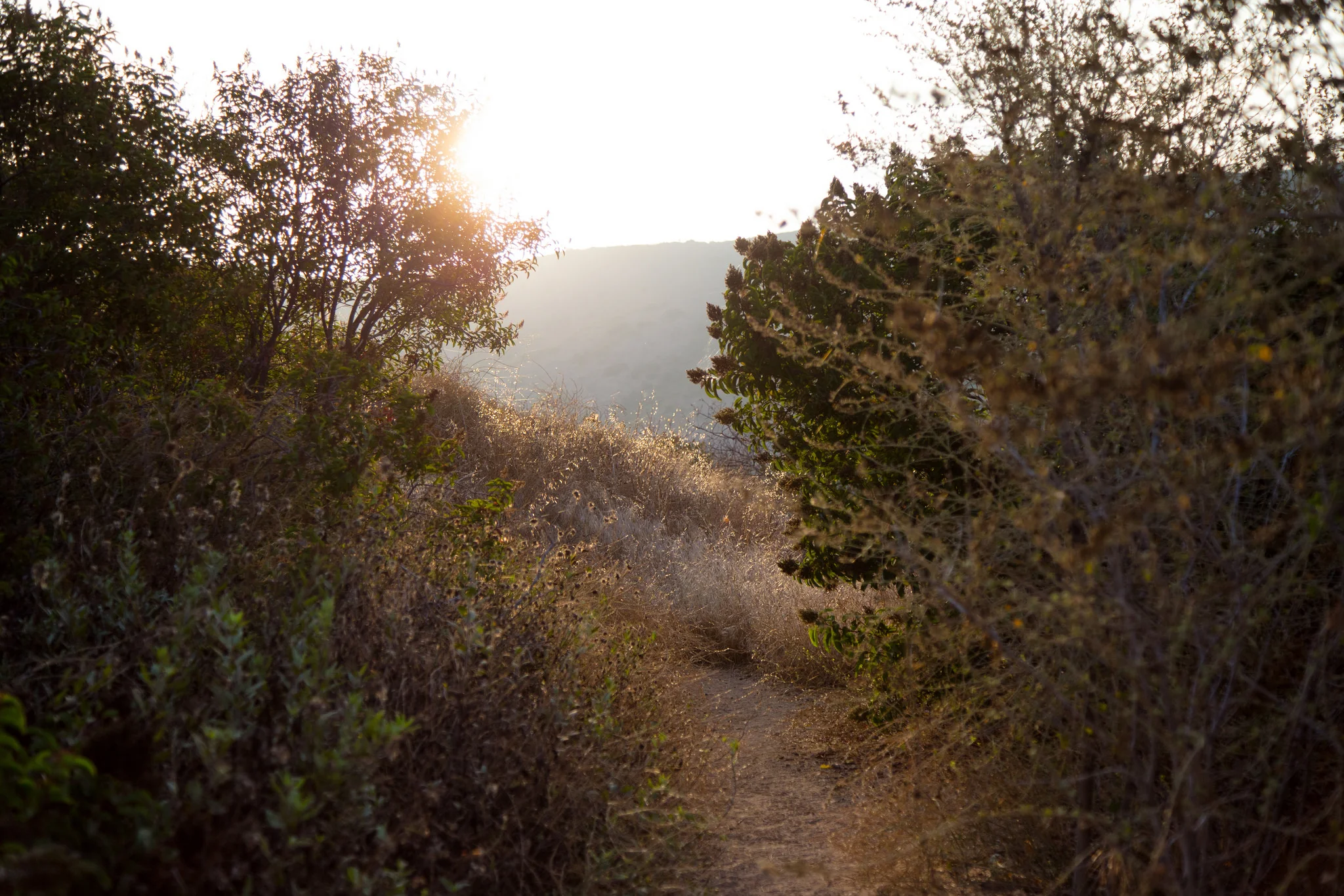 Climbing up the Rising Sun Trail.