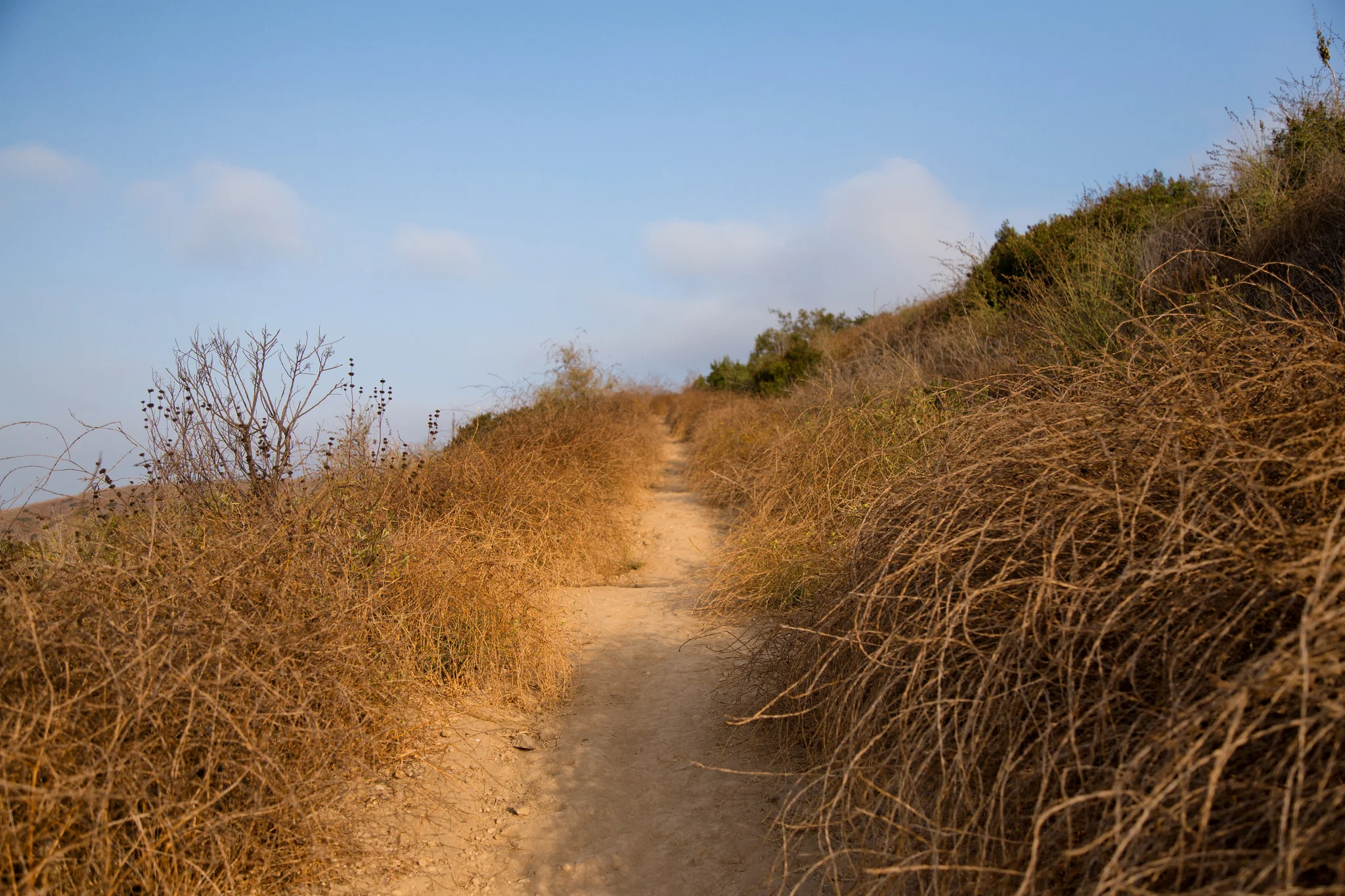 Rising Sun Trail