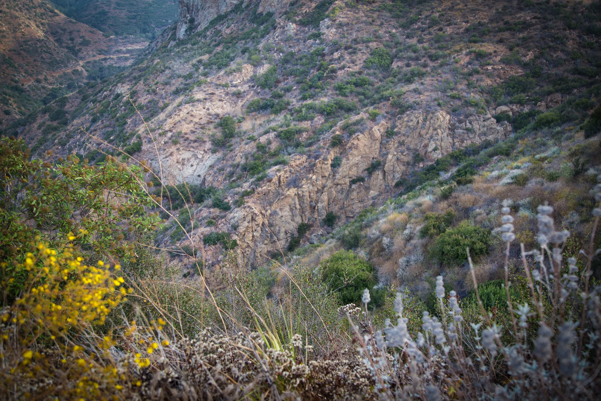 Rising Sun Trail