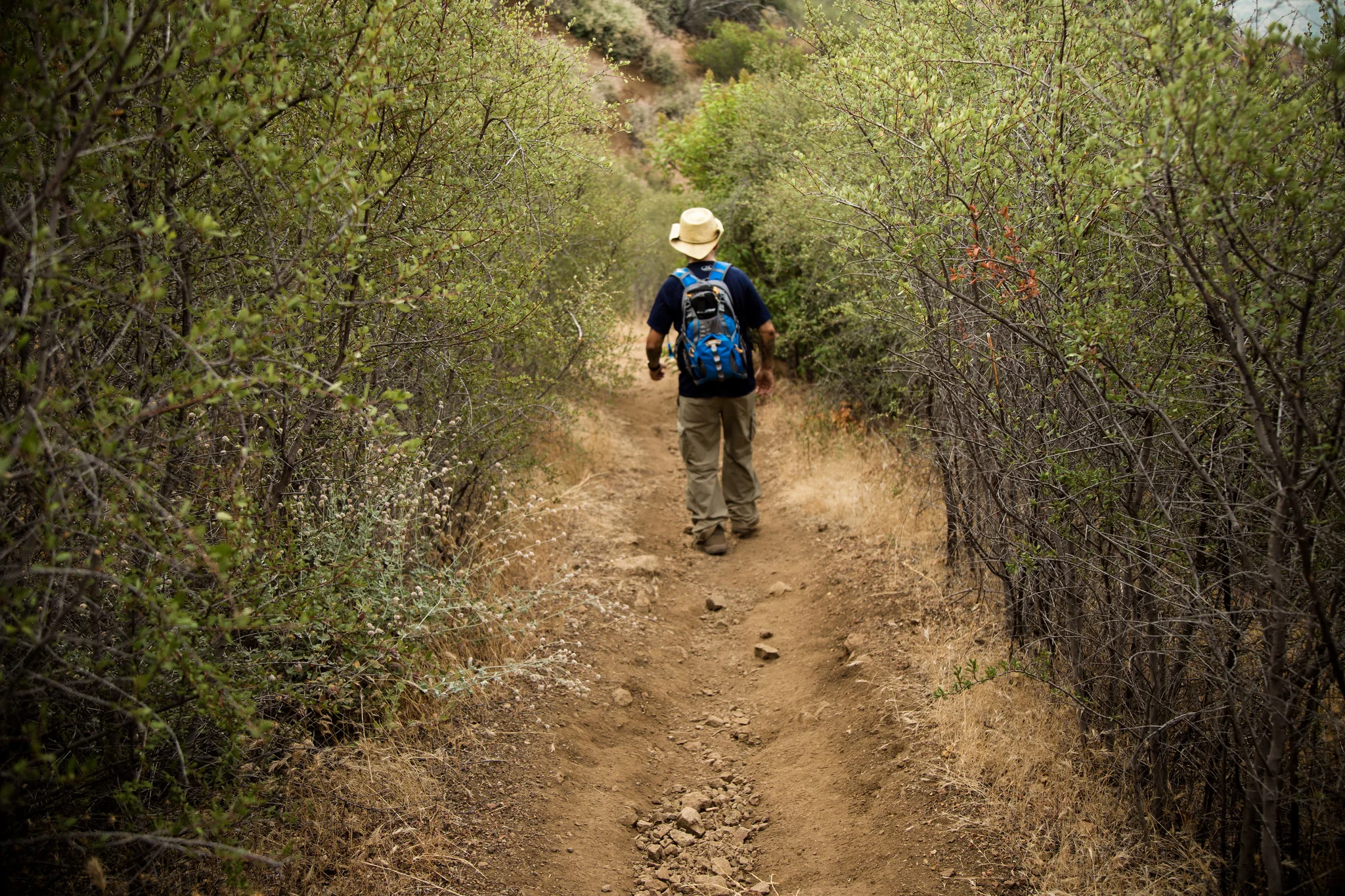 Sostomo Trail