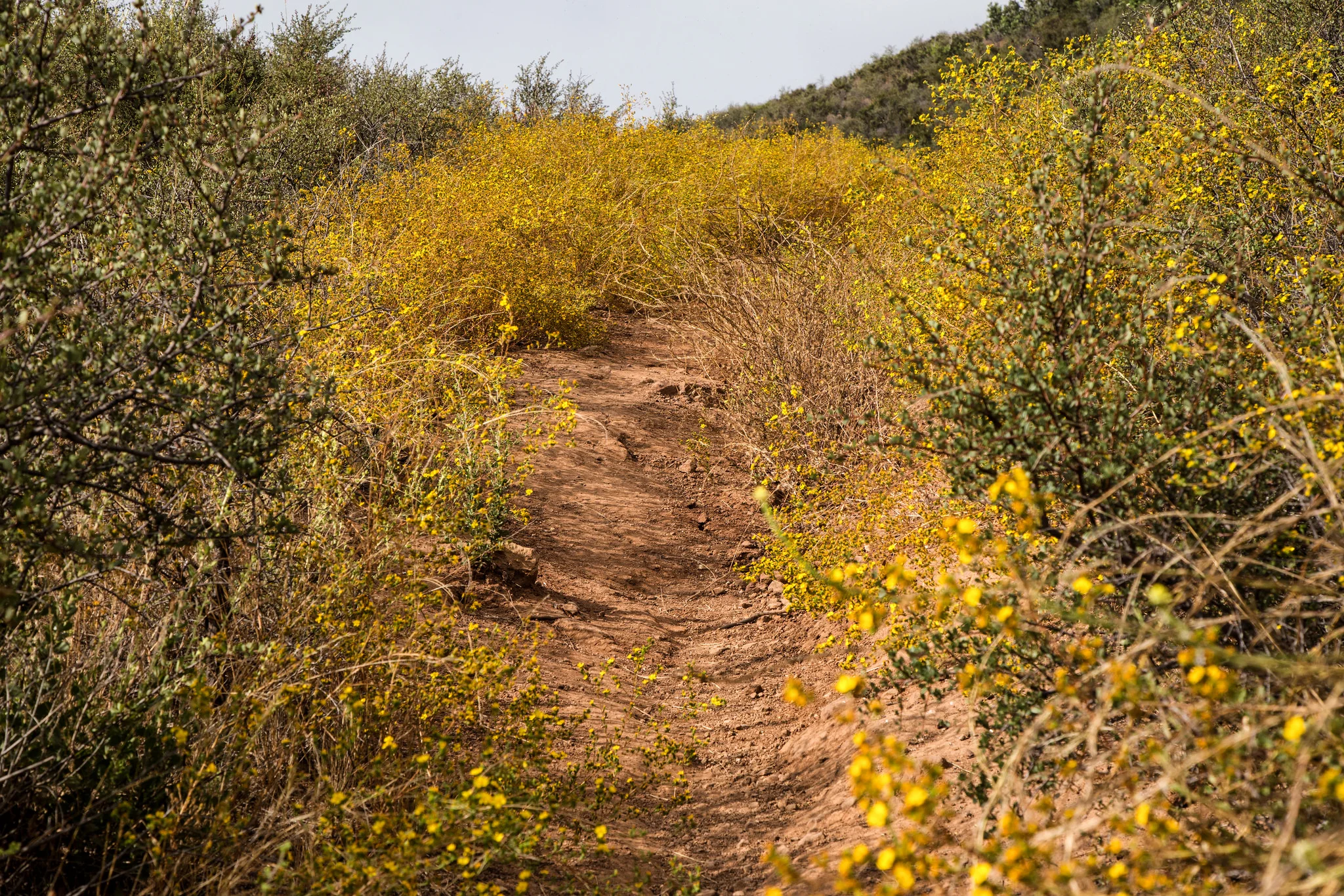 Deer Valley Loop