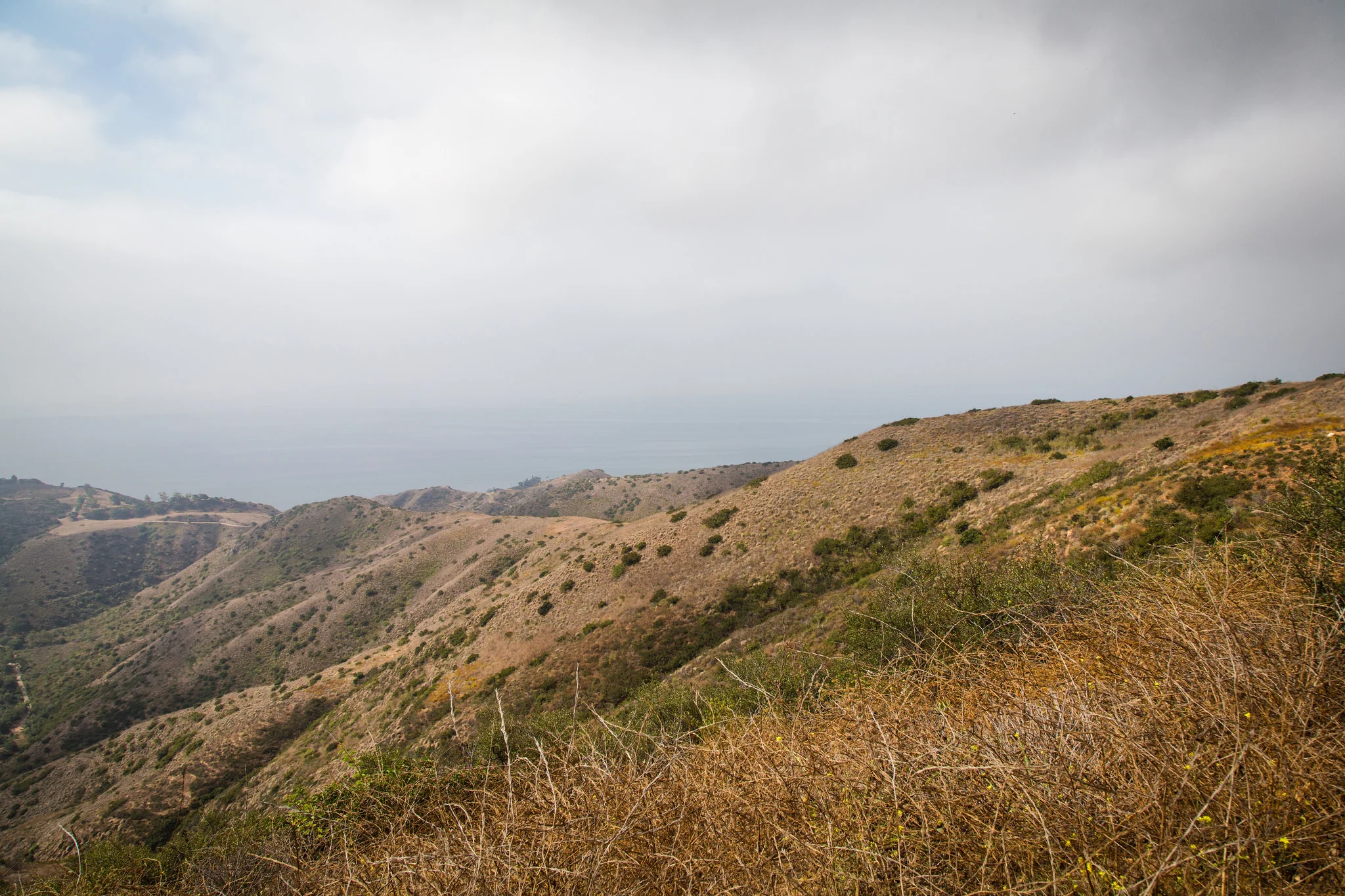 Another view from Deer Valley Loop.