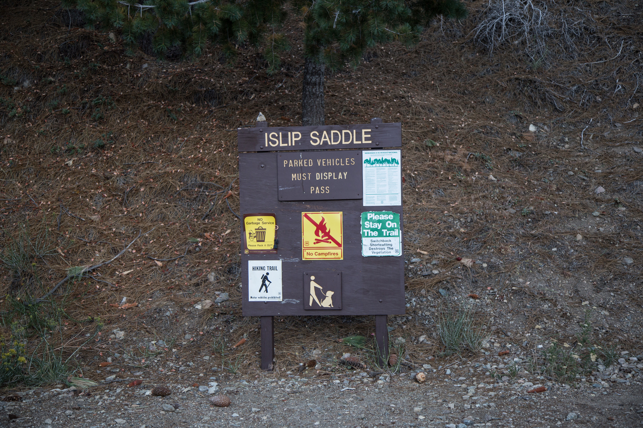 We parked here at Islip Saddle. The trailhead to Mt. Islip peak is actually on the south side of Angeles Crest.