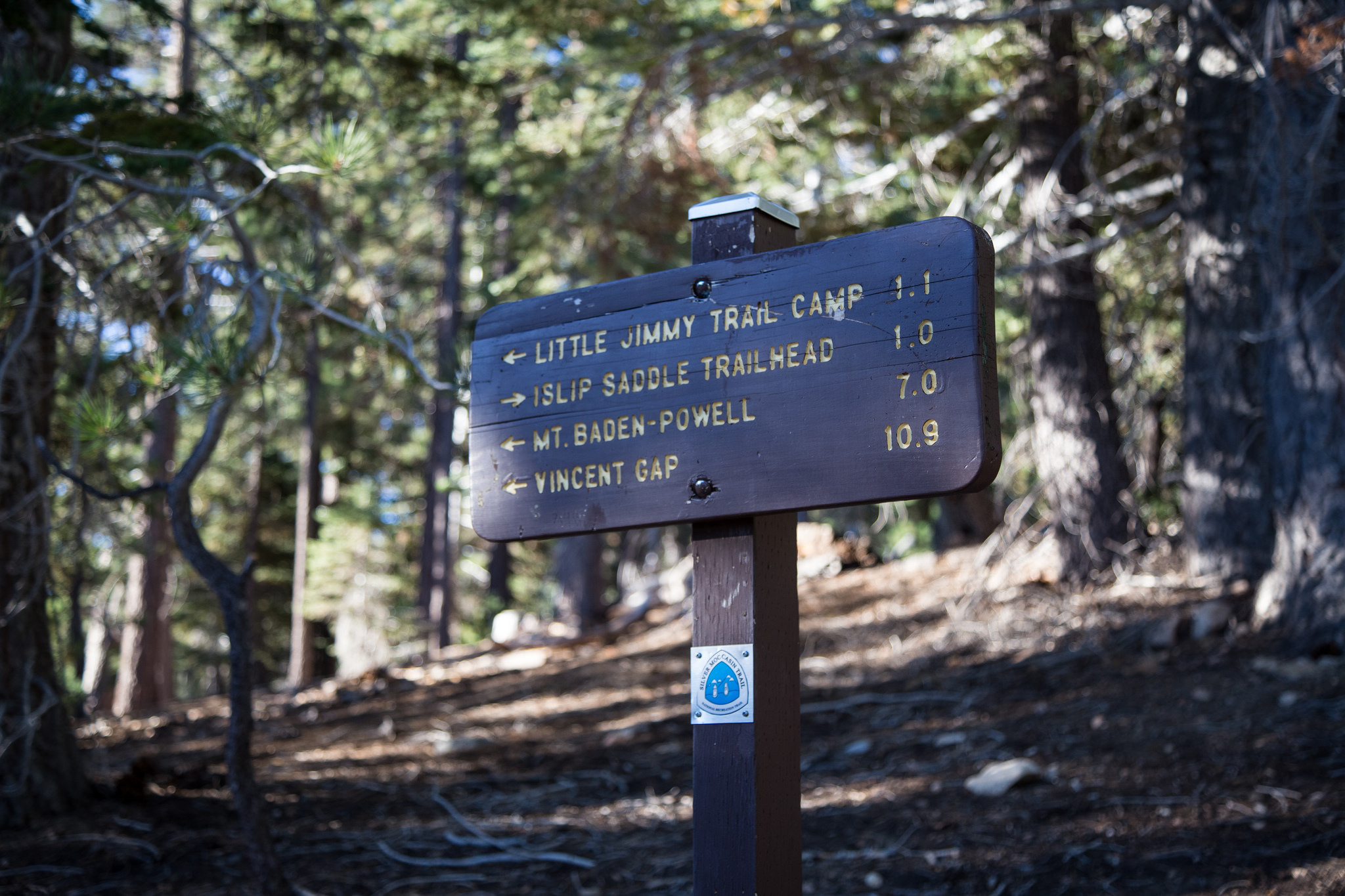 At this marker the trail levels off quite nicely.
