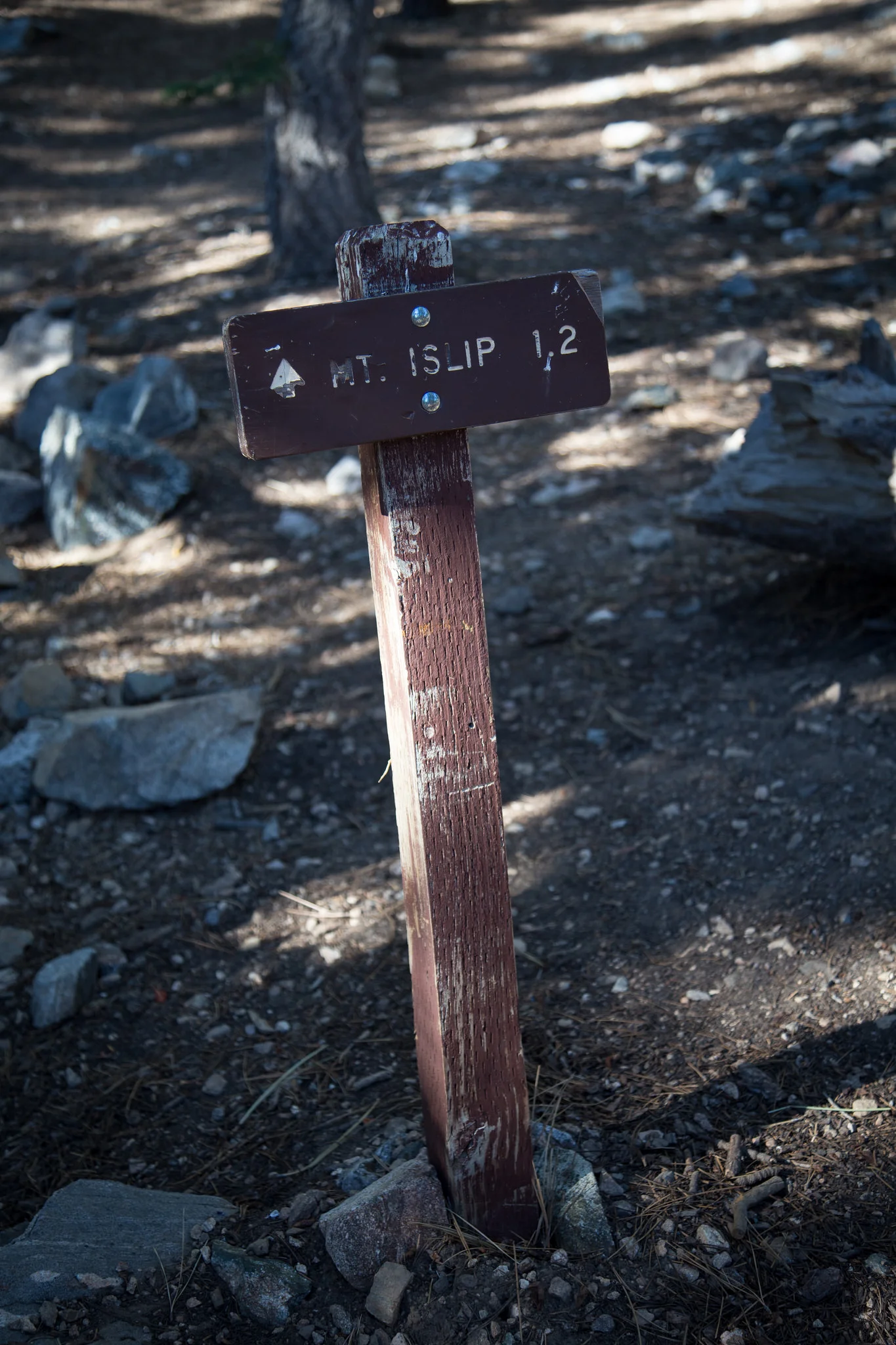 At this point, walk through the campground past the outhouses to find the Mt. Islip Trail to Islip Peak. The spur trail will take you to Little Jimmy Spring.
