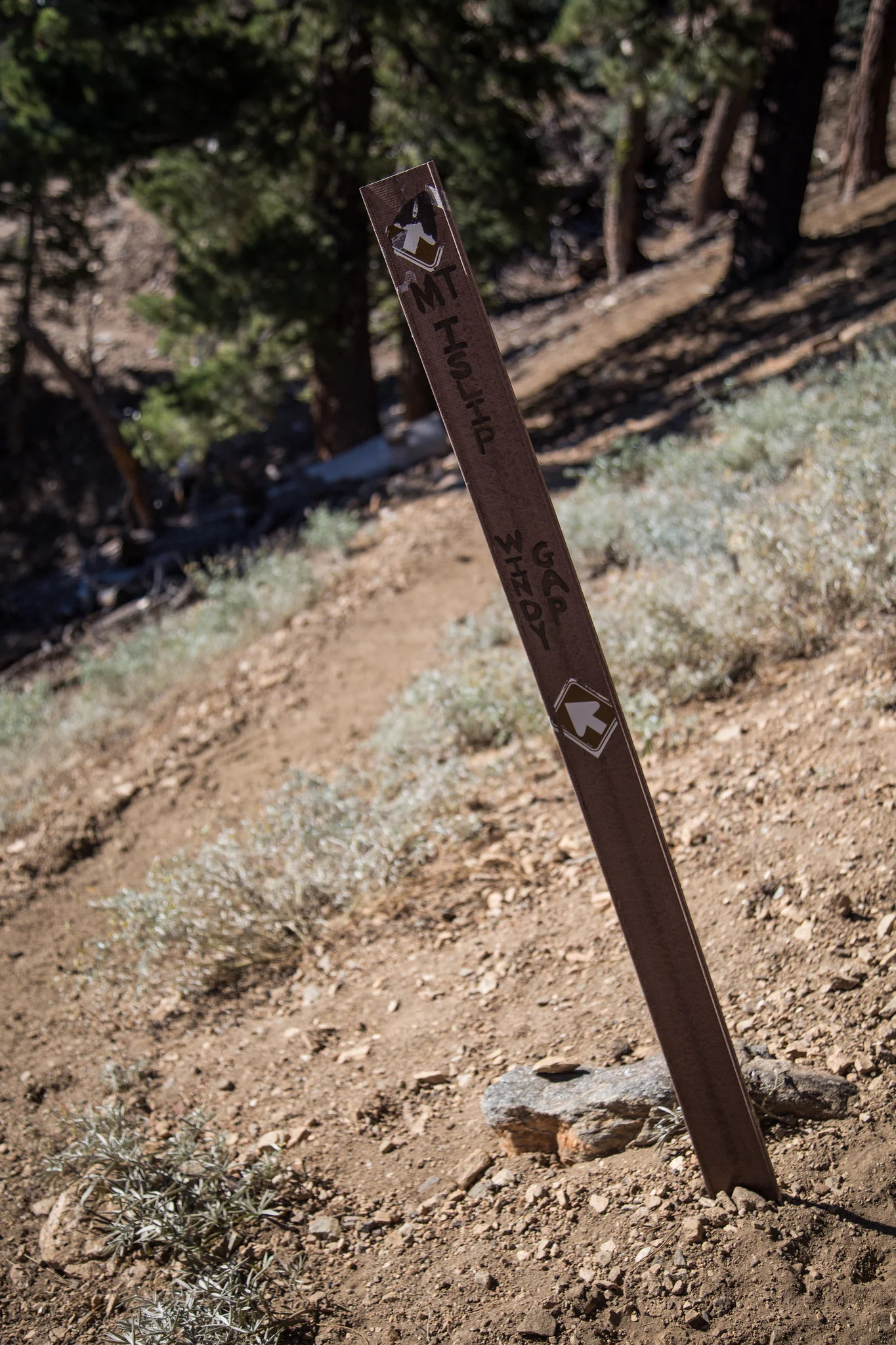 Heading up again - follow the trail to the right to the summit.