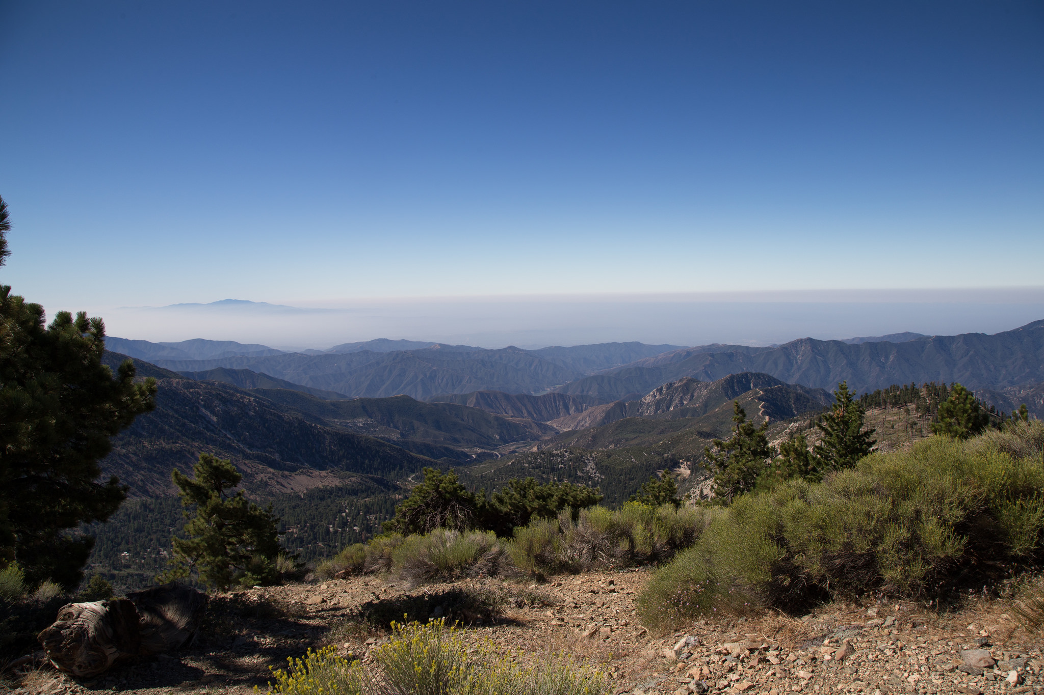 Summit view.