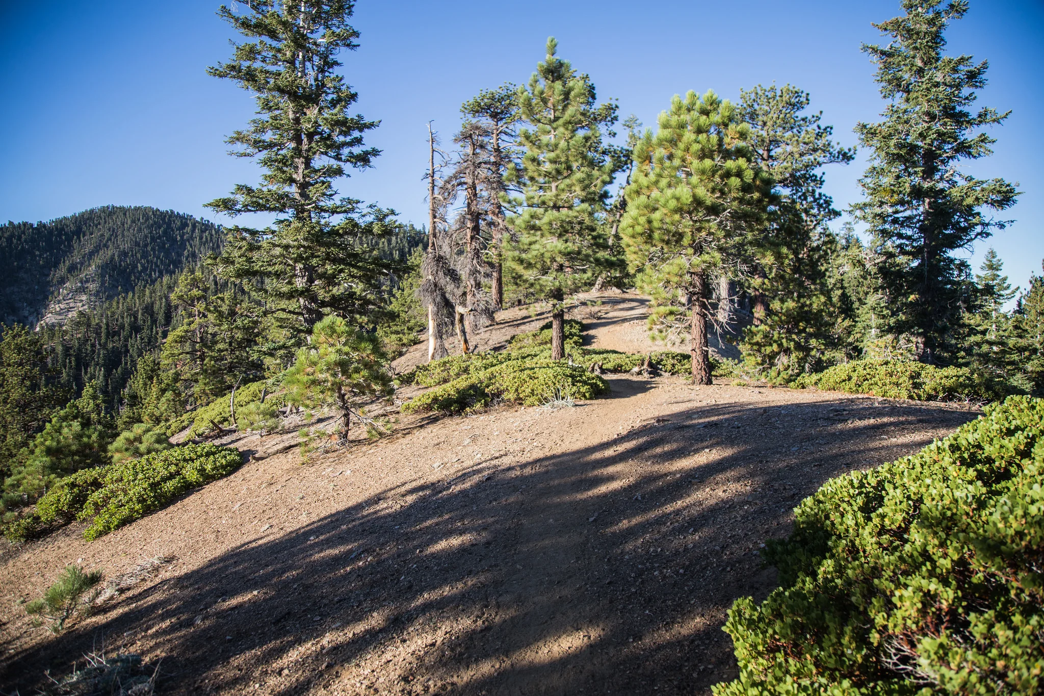 We walked along this beautiful ridge with great views of the Antelope Valley and the Devil's Punchbowl.