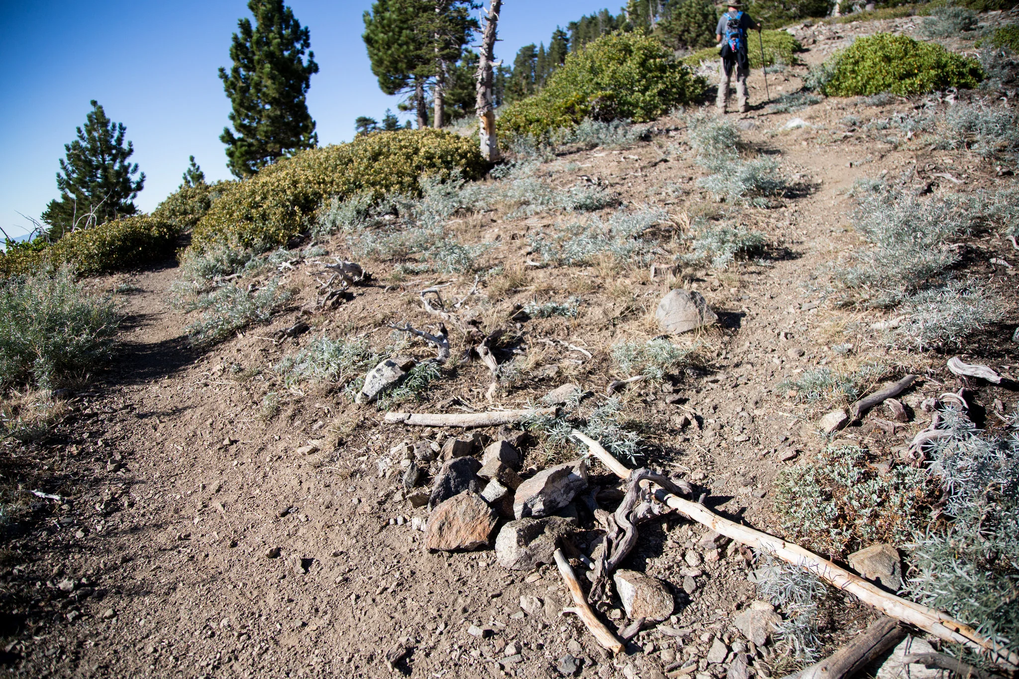 At the fork, stay right. This is going to take you to the summit of Throop. It was marked by this cairn. 