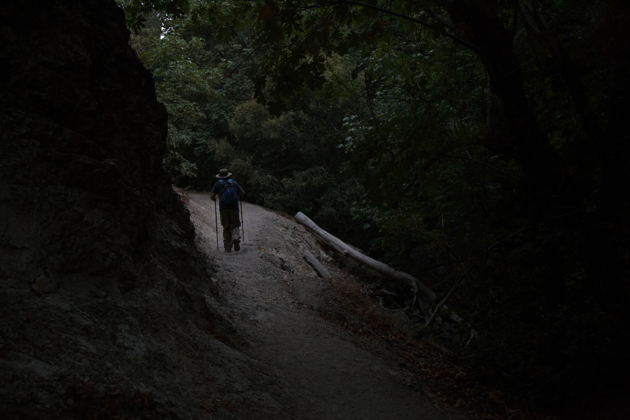 It was a little dark.