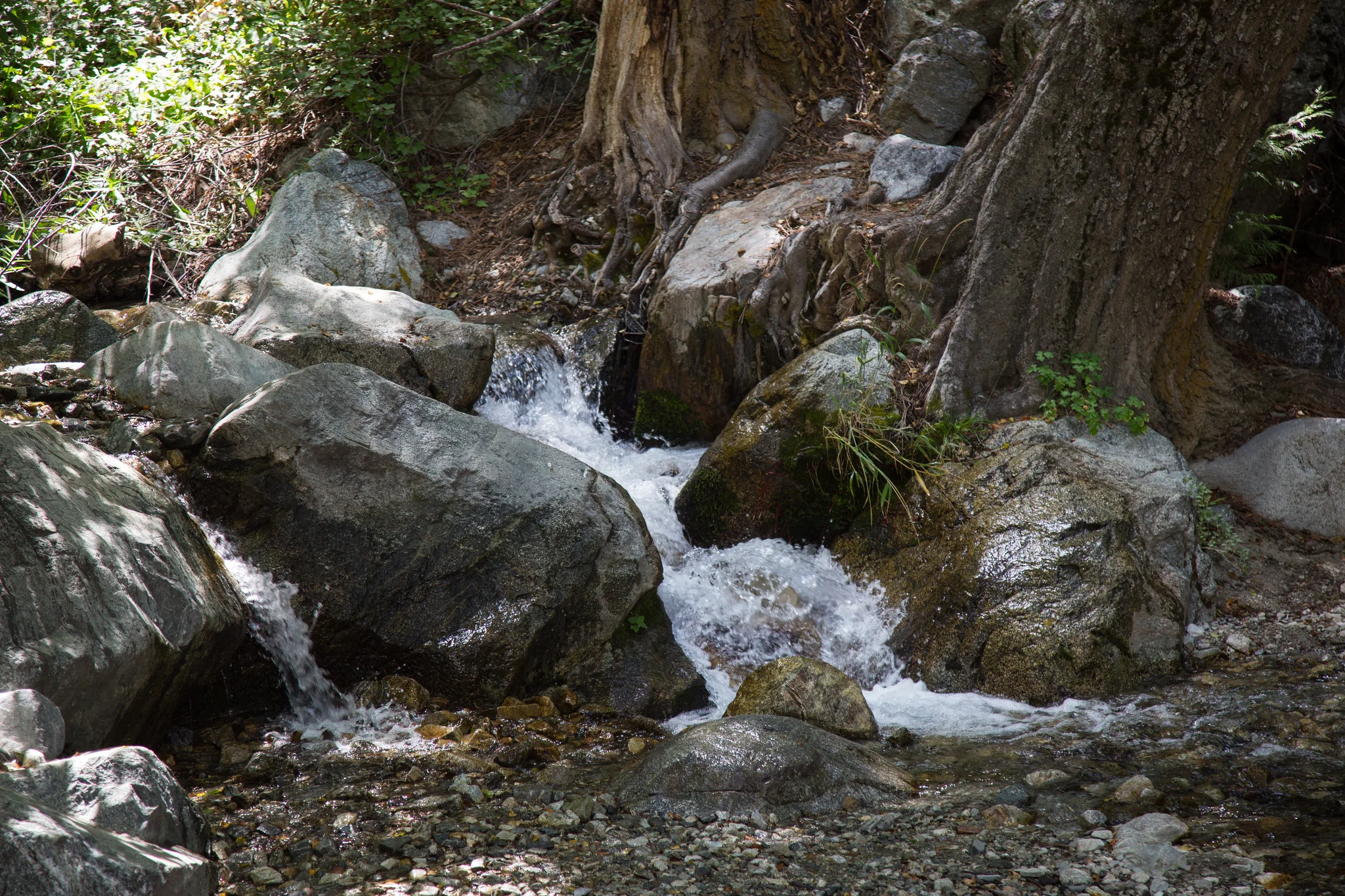 Refreshing!