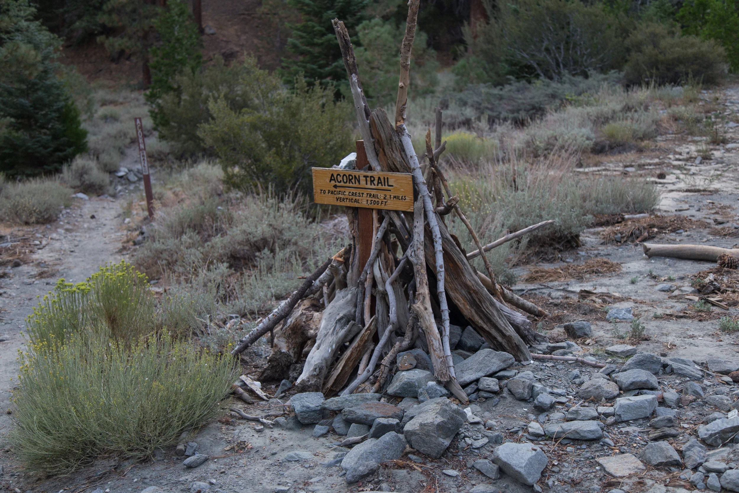This is the marker at the start of the Acorn Trail. Head to the left.