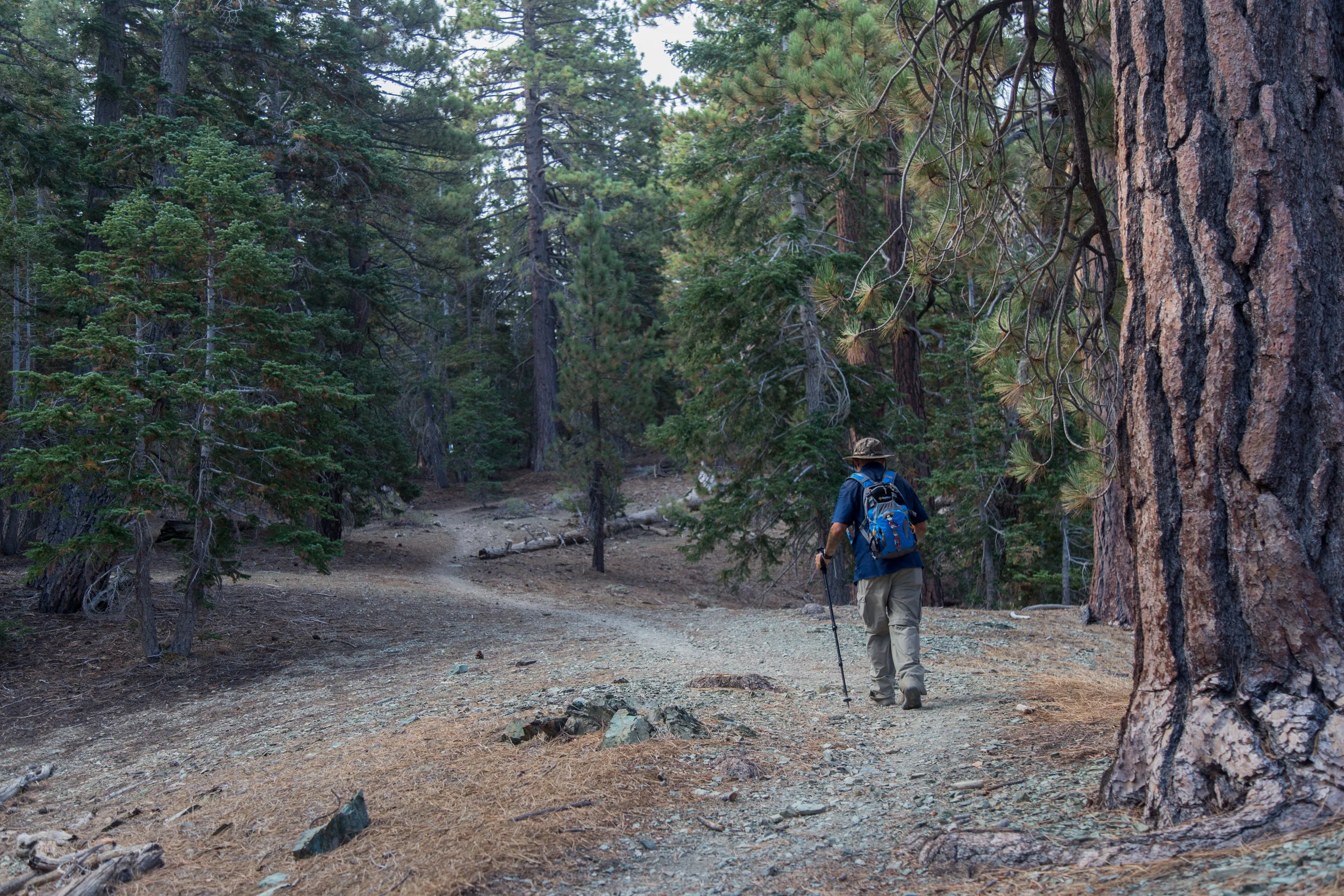 As you get closer to the junction with the PCT, the trail levels off a bit.