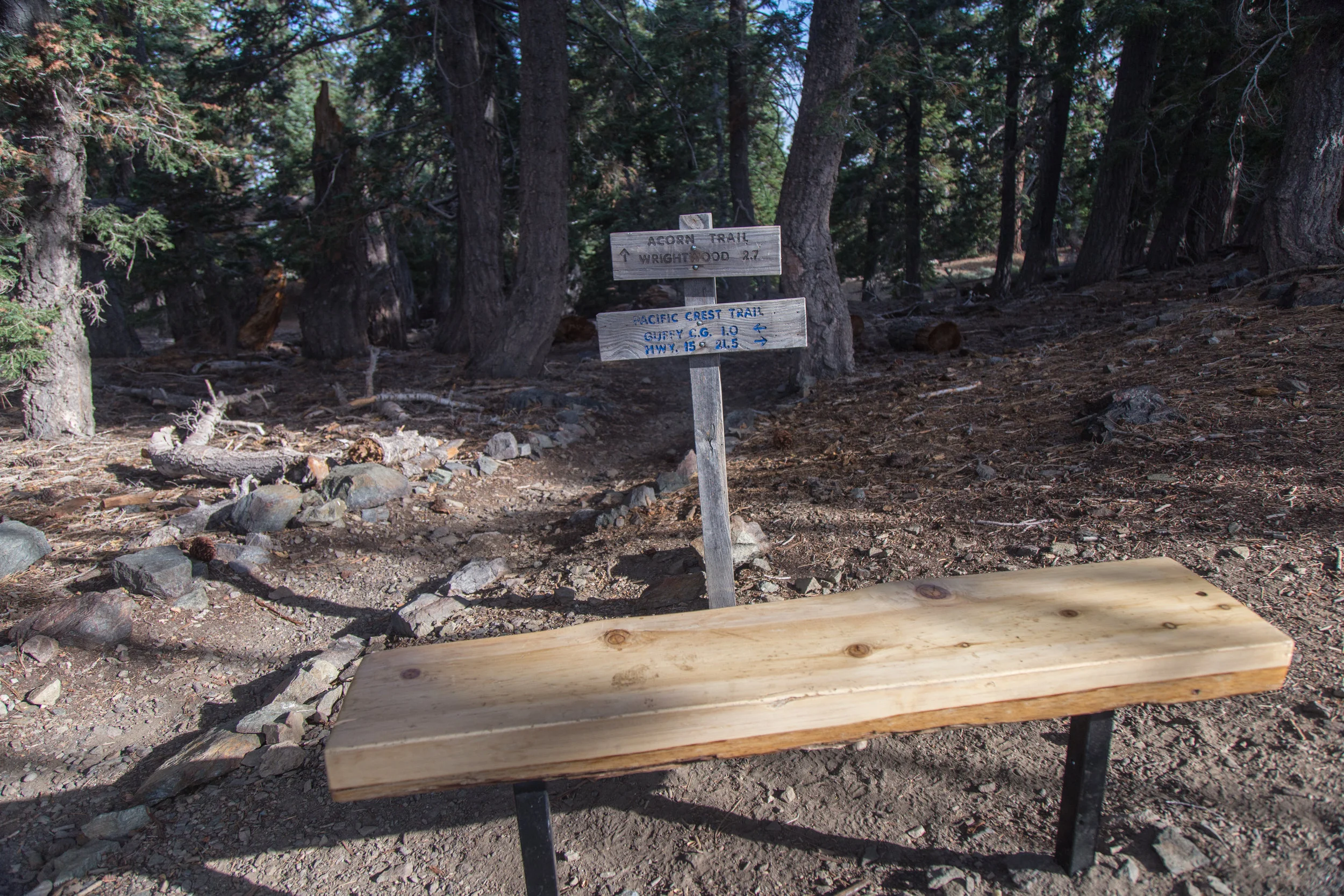 Looking back the way we came, there's a bench and a sign marking the Pacific Crest Trail. We headed east to find the trail to the summit of Wright Mountain. 