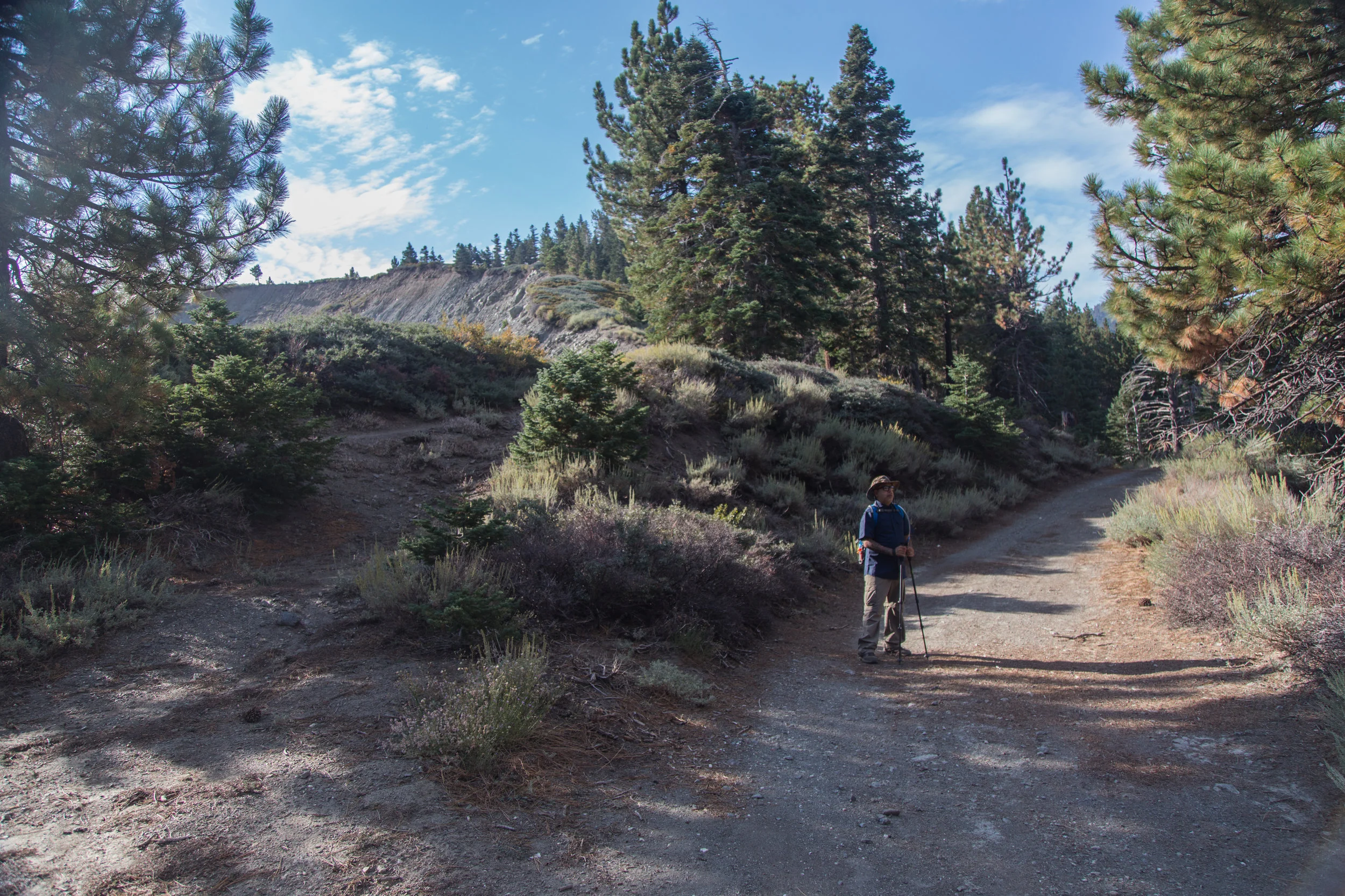 At about 1/4 mile, the PCT will intersect with the Blue Ridge Truck Trail. We hopped on the truck trail and according to my directions, we thought it would lead us to the summit. 