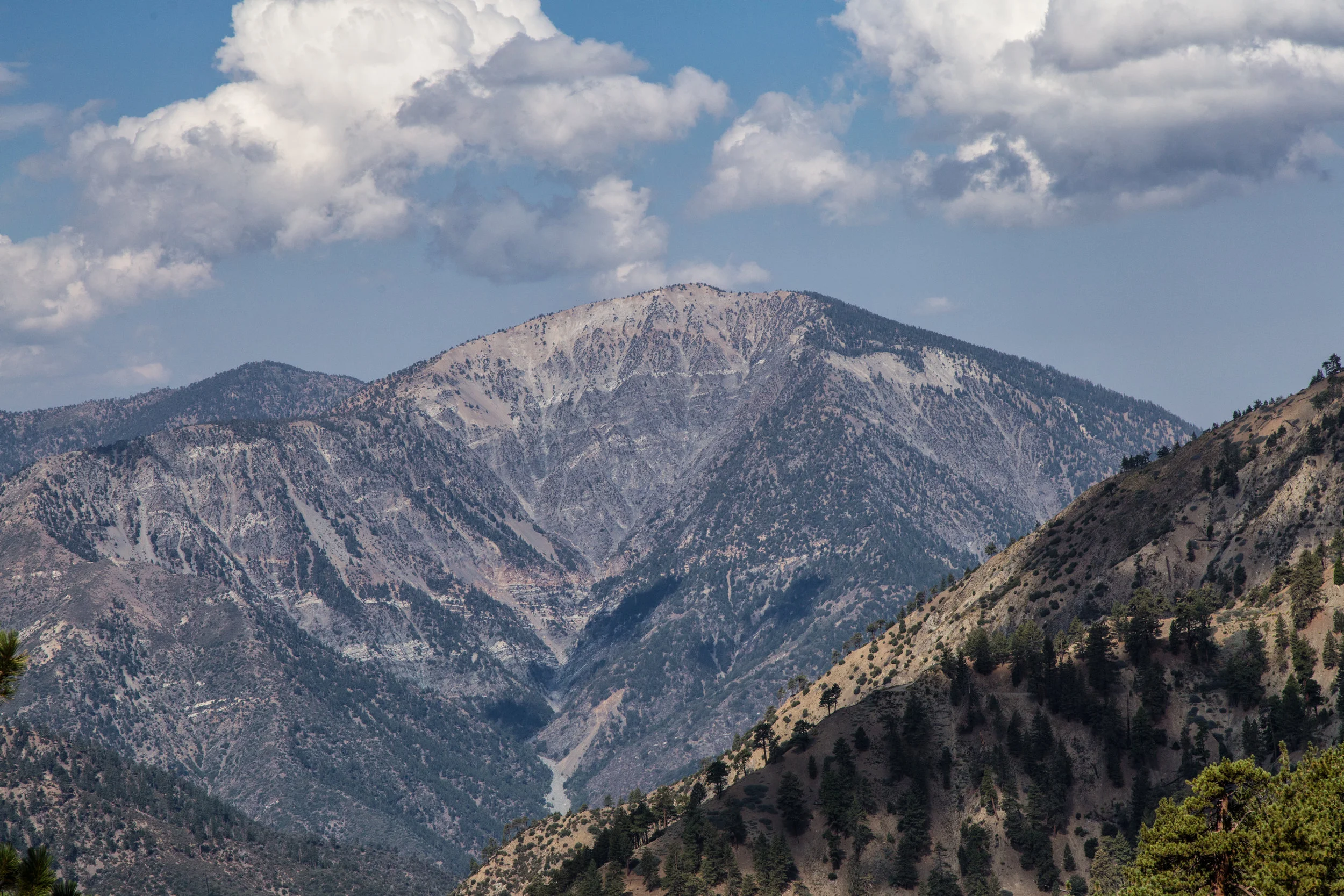 Enjoying the views of Mount San Antonio along the PCT.