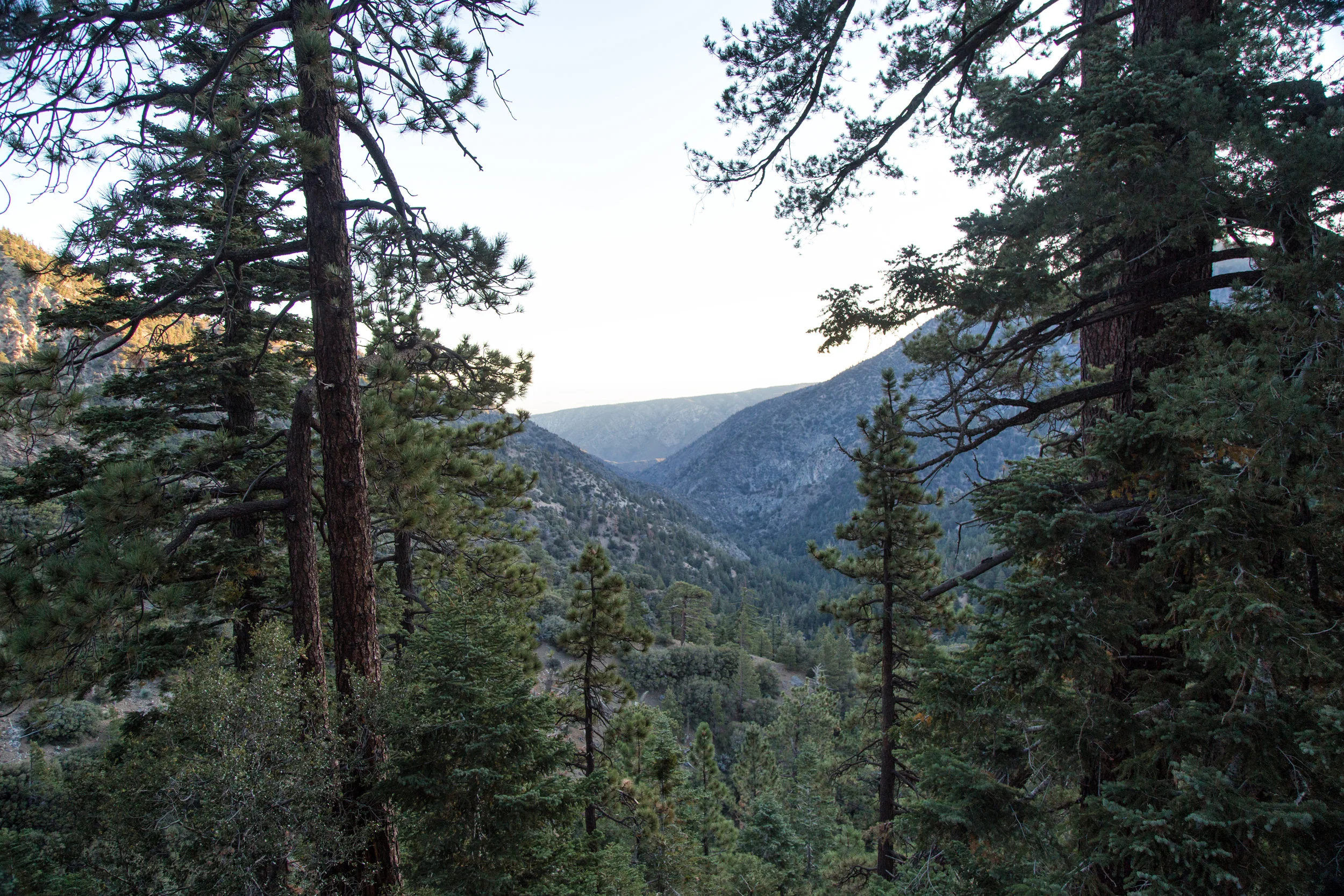 We had great views from the start of the trek and they continued through the whole route.
