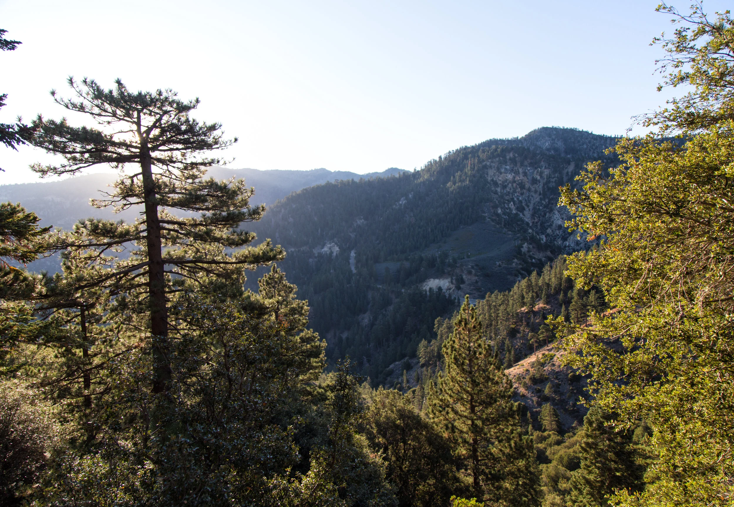Looking back at Mt. Islip. We hiked that trial to the peak in August. A lovely hike.