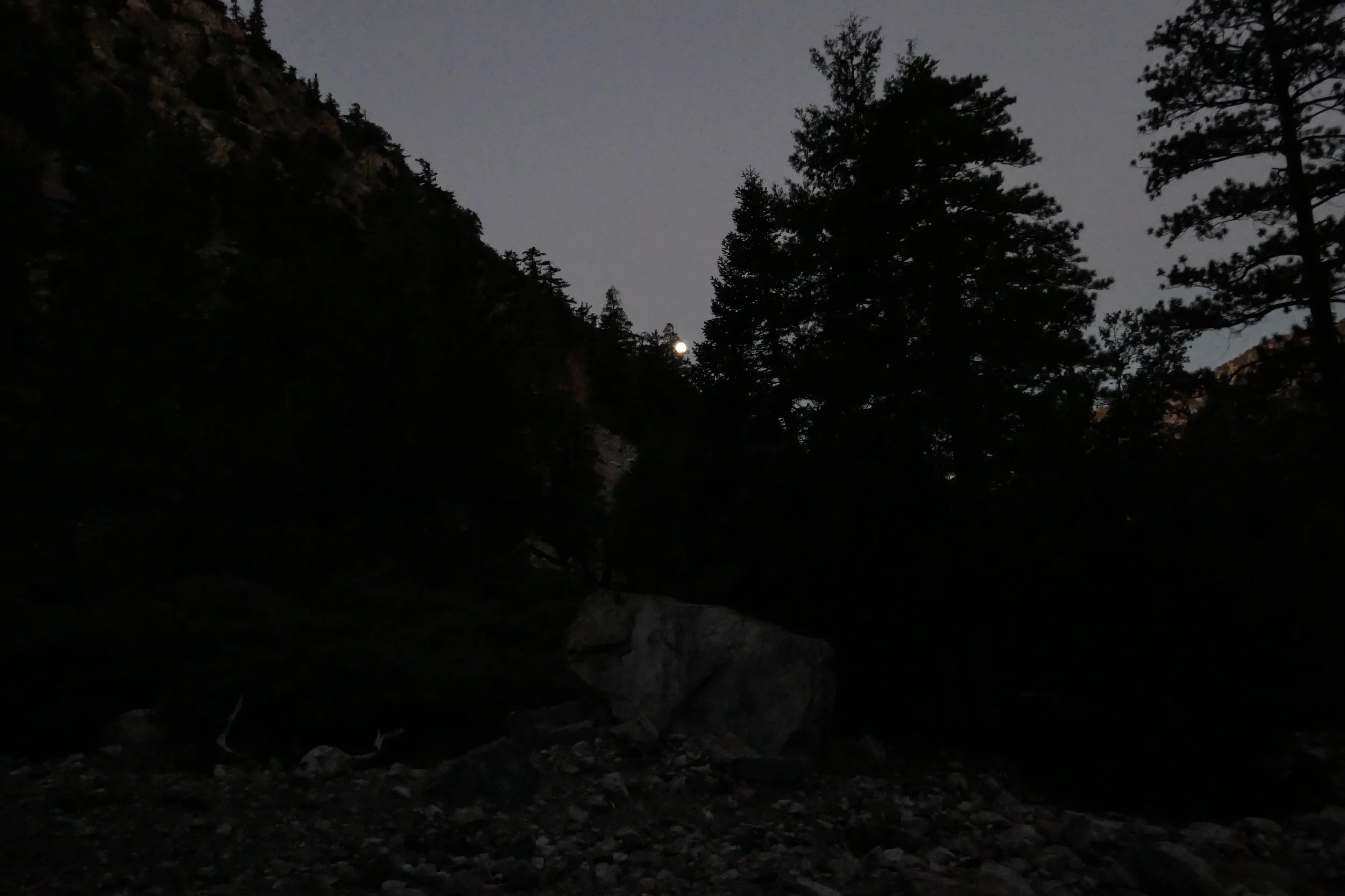 Watching the moon set.