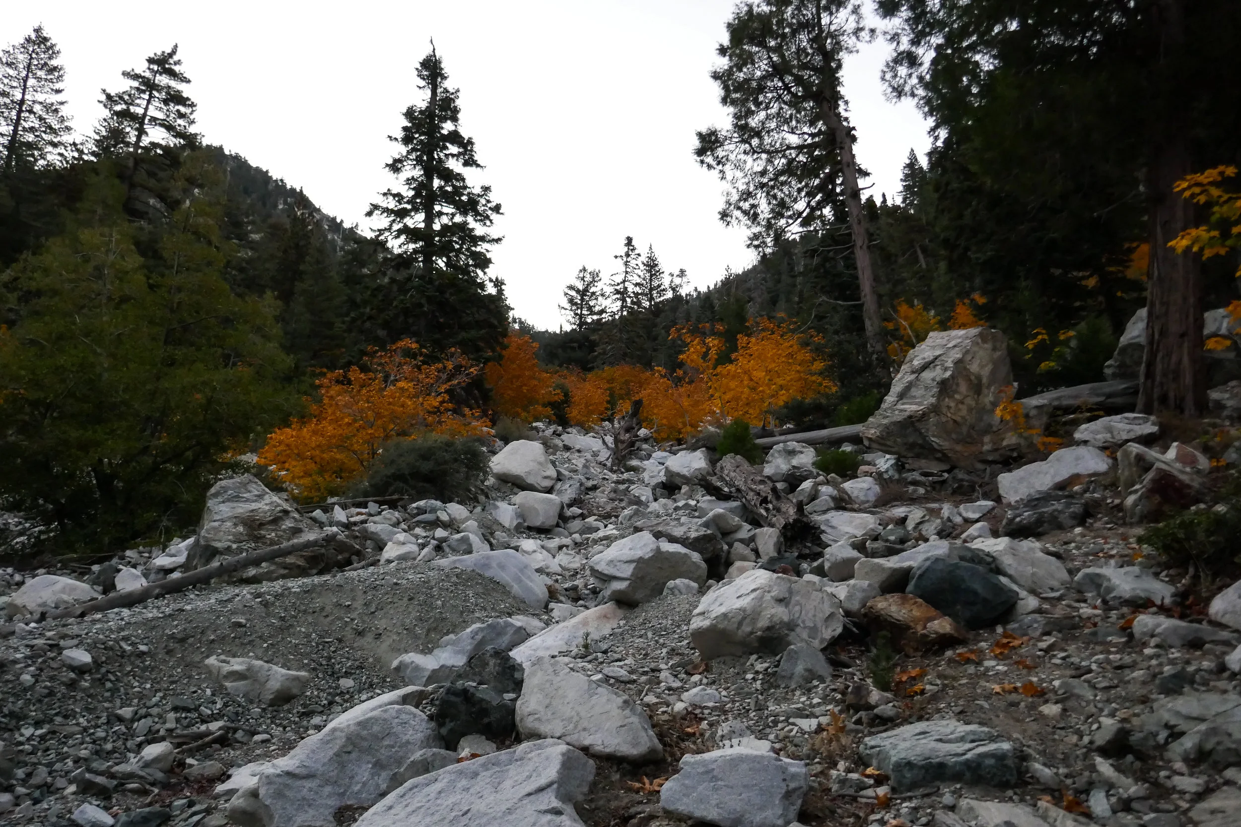 When the sun came up we could see the colors!