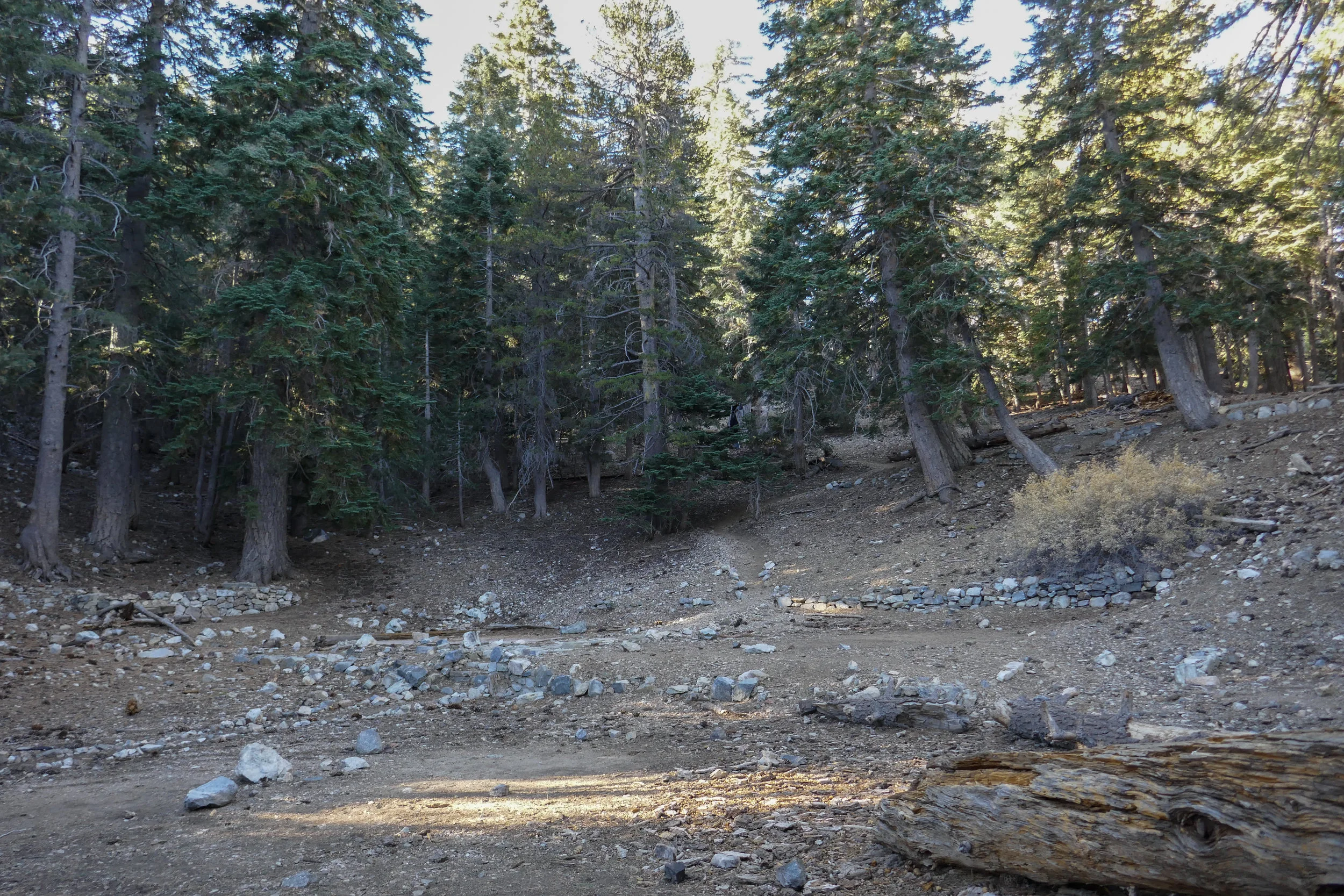 Next we climbed up and out of the pine forest...