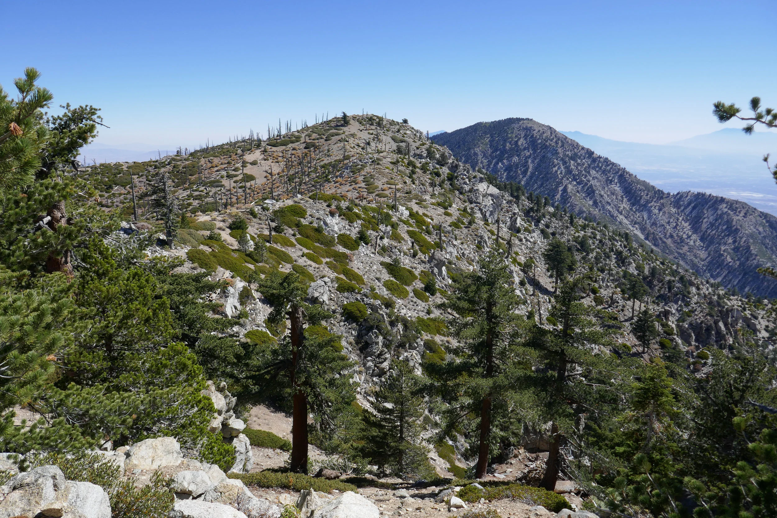 Big Horn and Cucamonga Peaks.