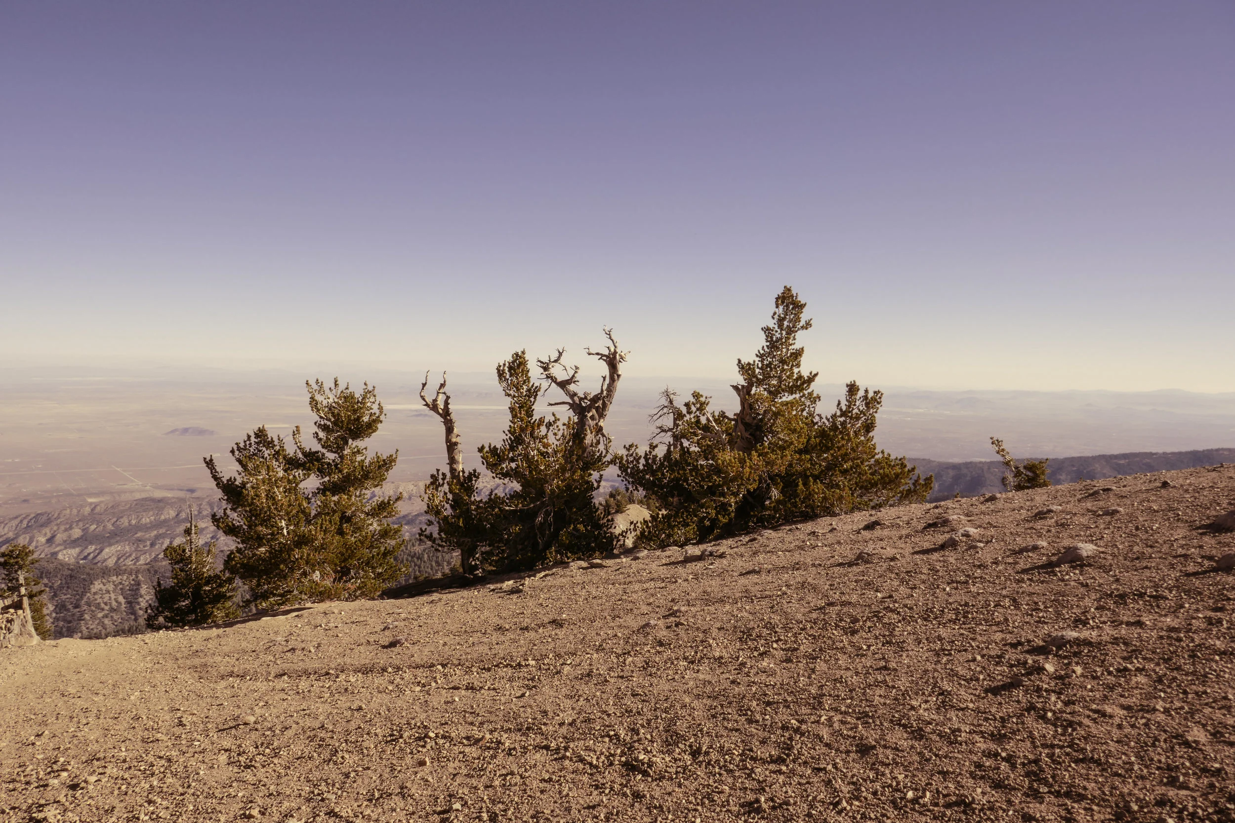 mt-baden-powell--vincents-cabin_37690822832_o.jpg