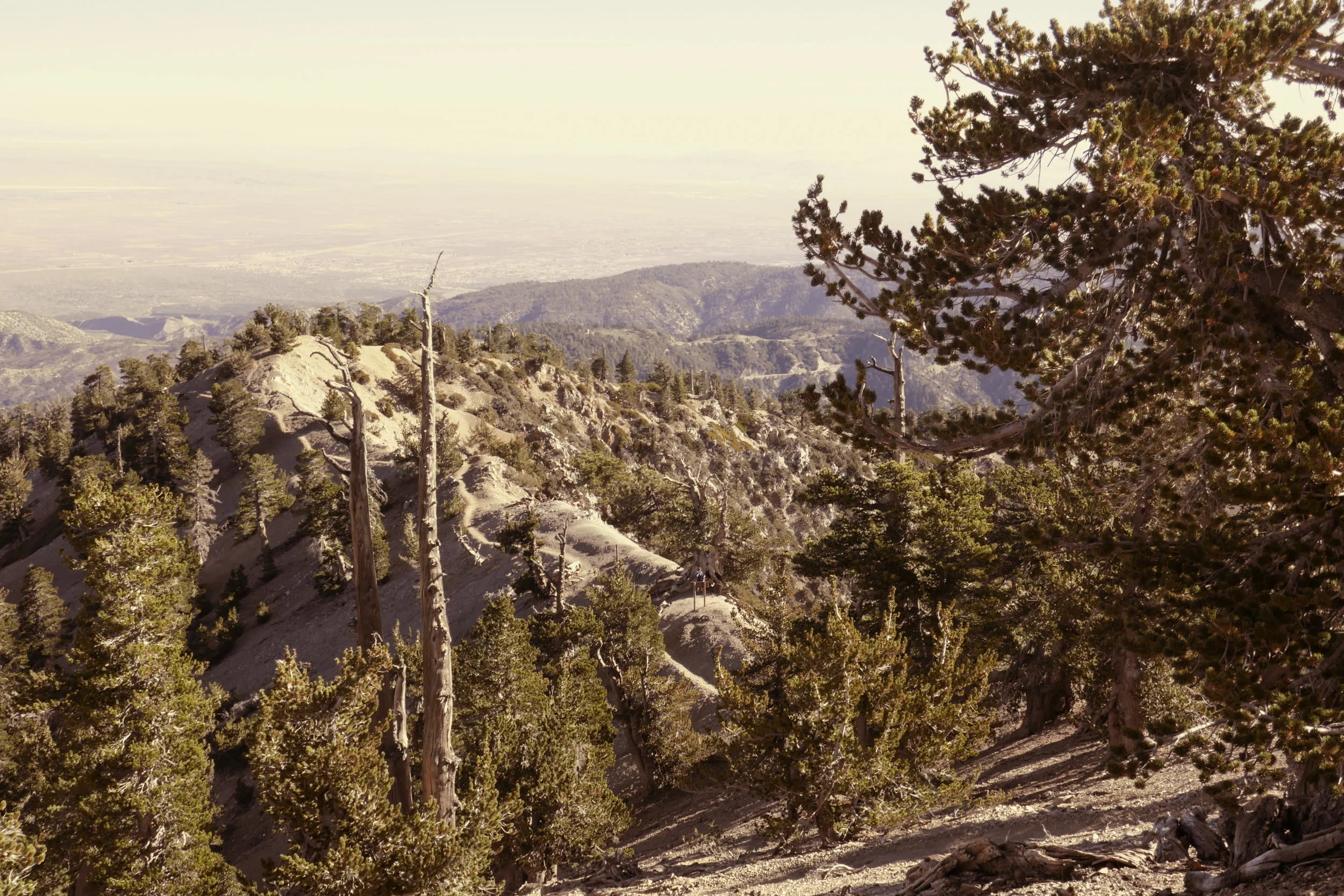 Closer view of the ridge.