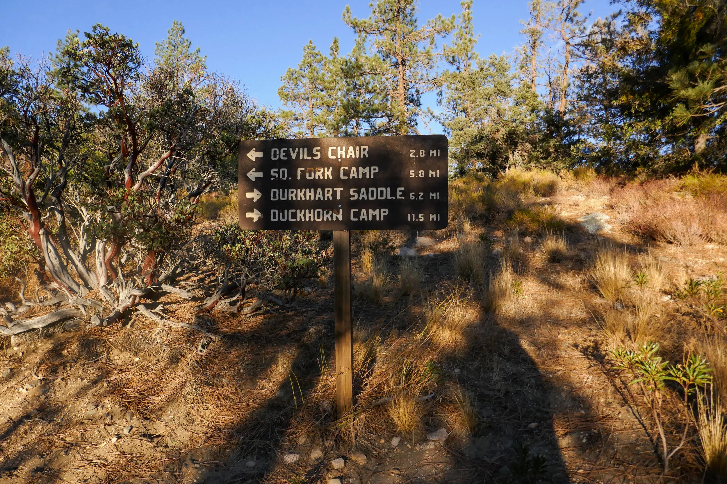 Now leaving the Burkhart trail and heading onto the Devil's Chair Trail, aka High Desert National Recreation Trail.