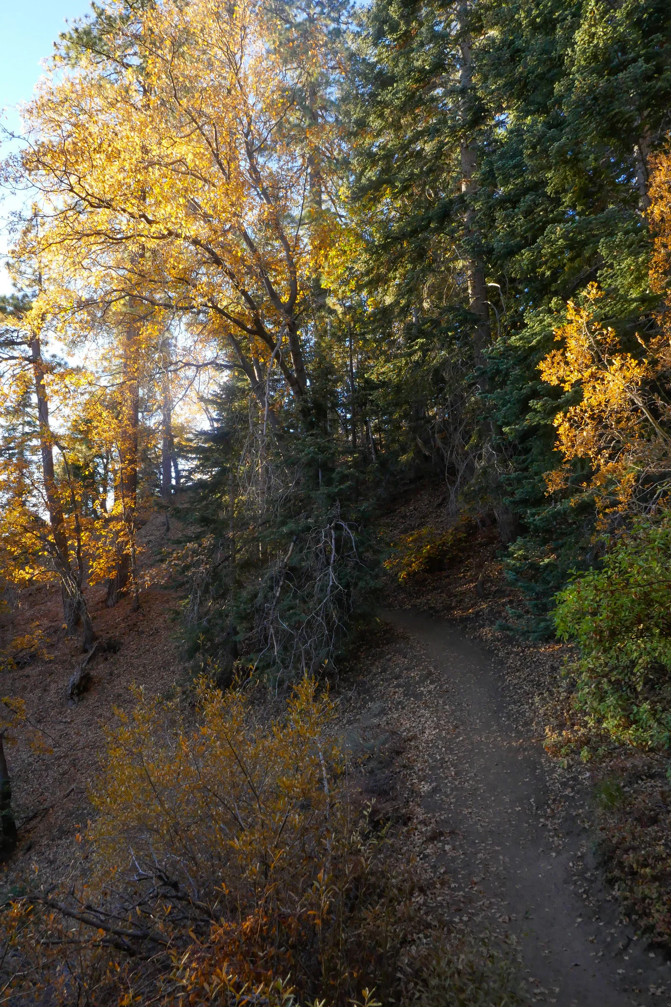 37883879372_e5d286eb36_k.jpg