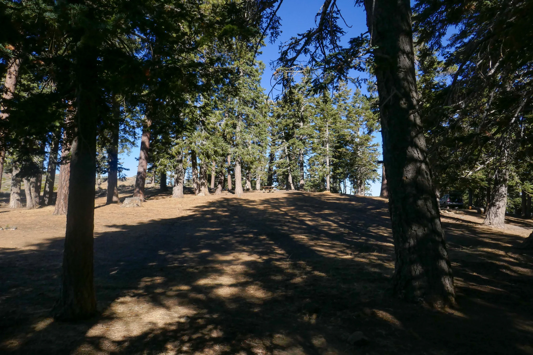 At Guffy Campground.