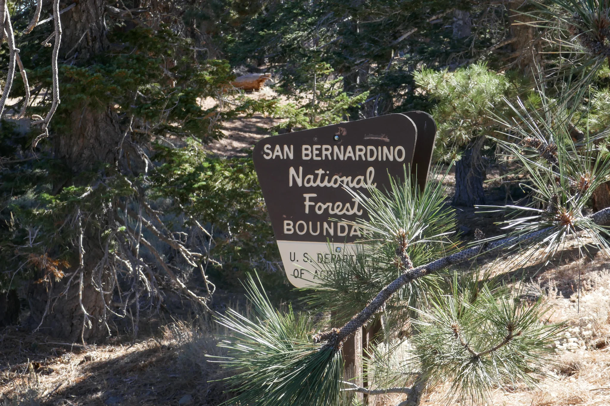 We crossed over into the San Bernardino National Forest.