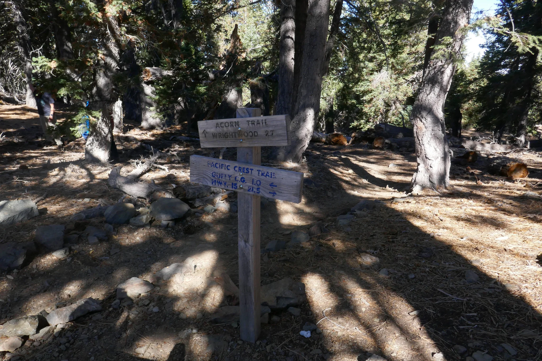 Reaching the junction with the Acorn Trail. Acorn is a really nice hike as well. More difficult then Blue Ridge, but very enjoyable.