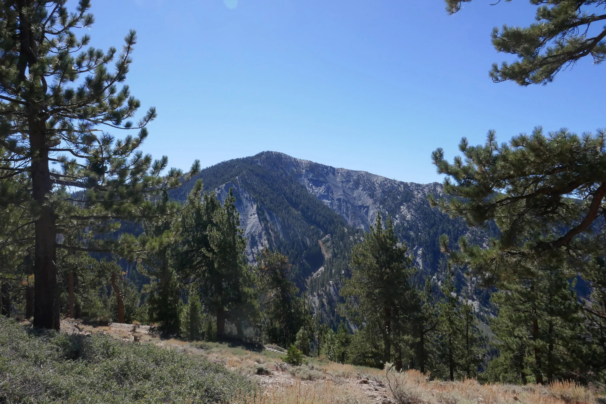 Looking at Pine Mountain.