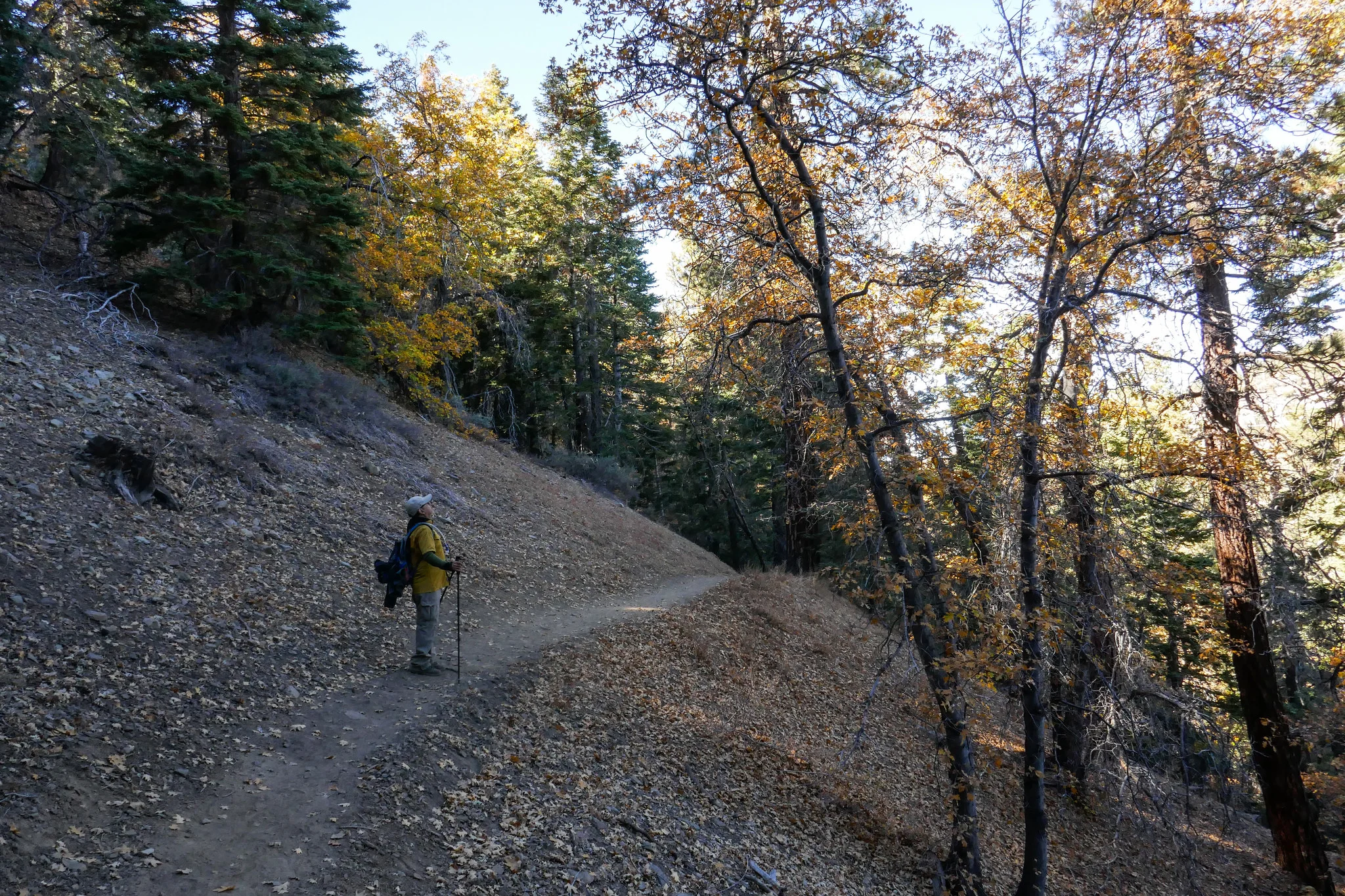 37883626882_8bd6257653_k.jpg