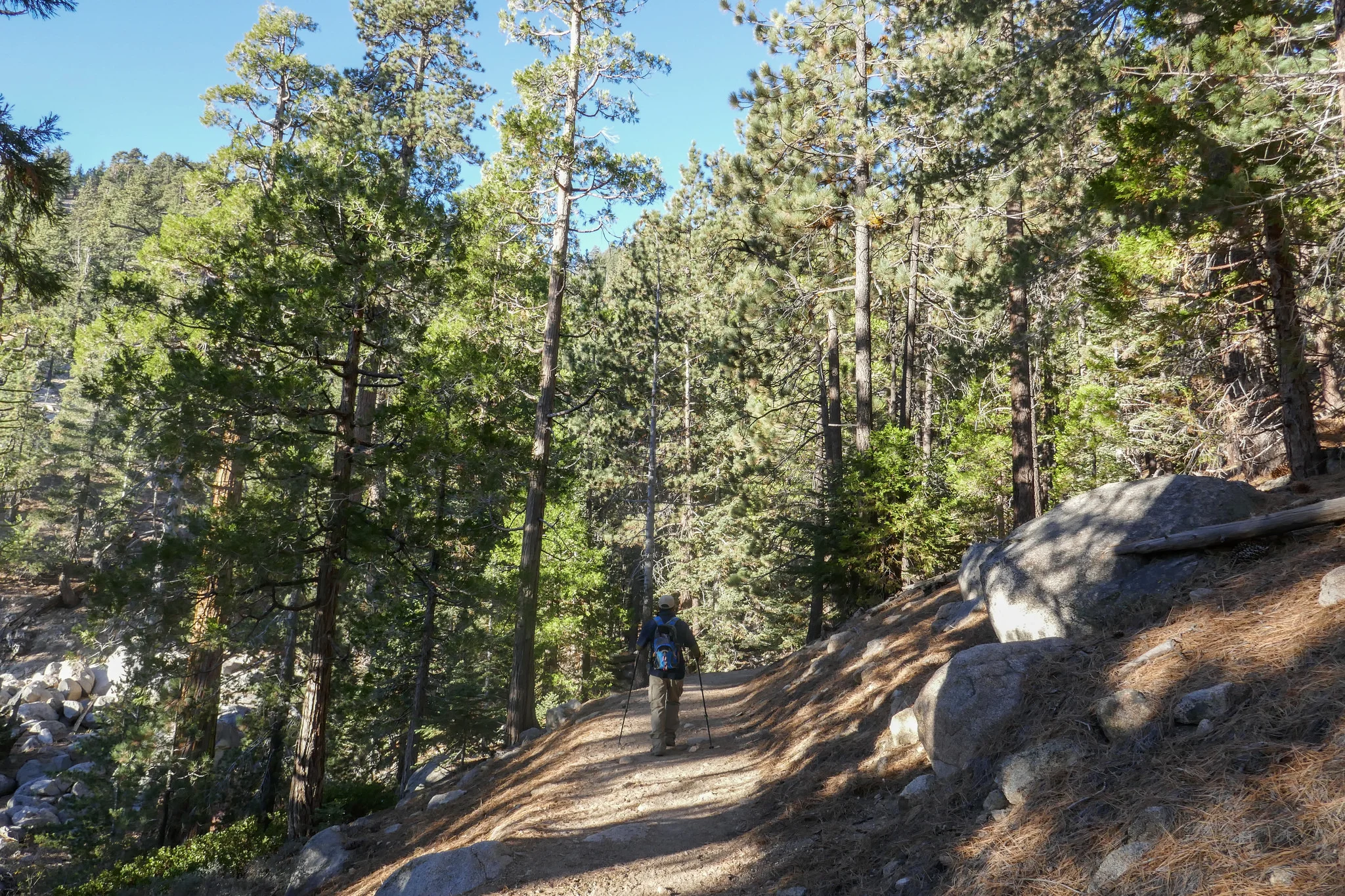 The Waterman Mountain trail is a beautiful stretch of trail. It's shaded and full of fragrant Jeffrey pines.
