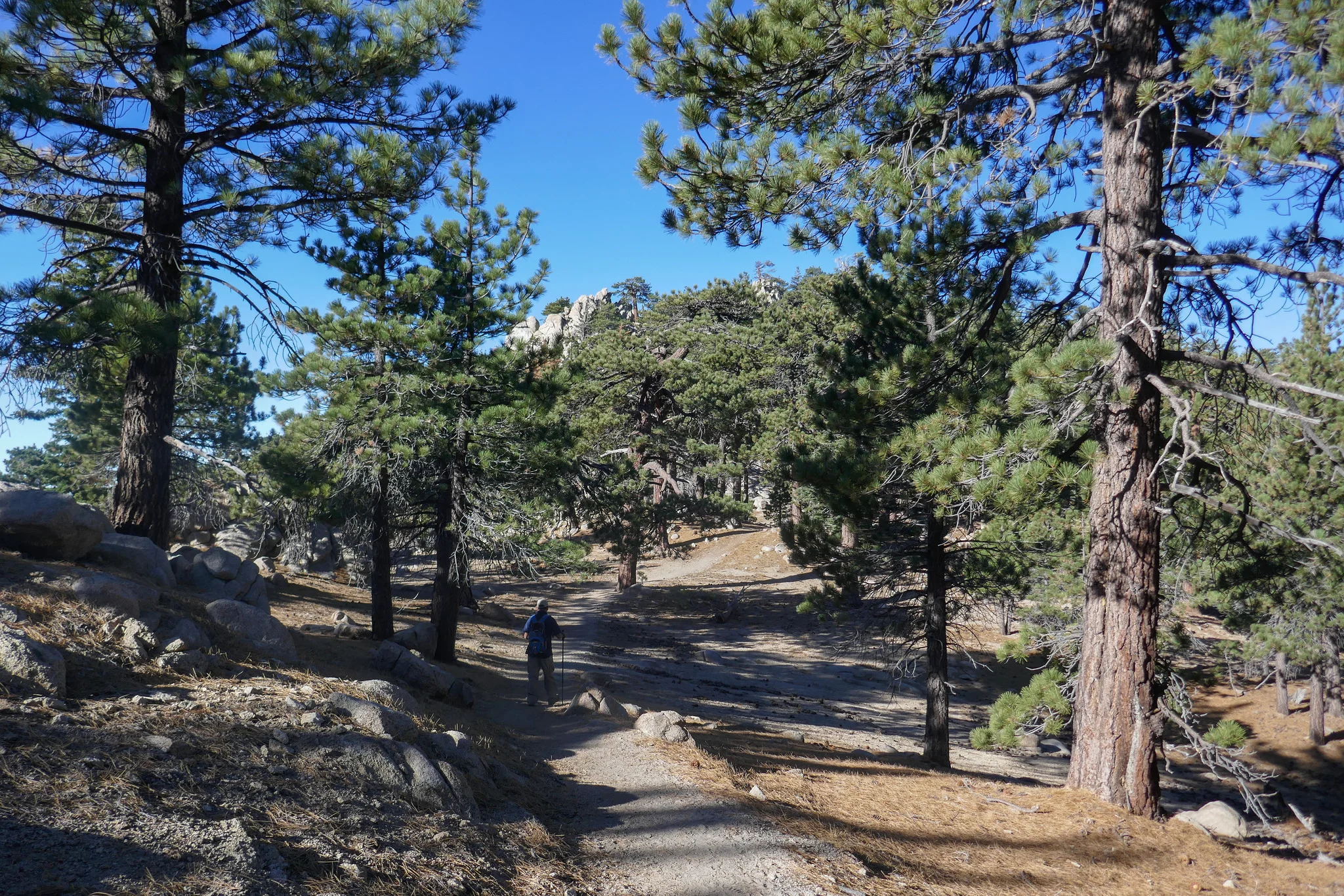 We were headed up to where those rocks are straight ahead.