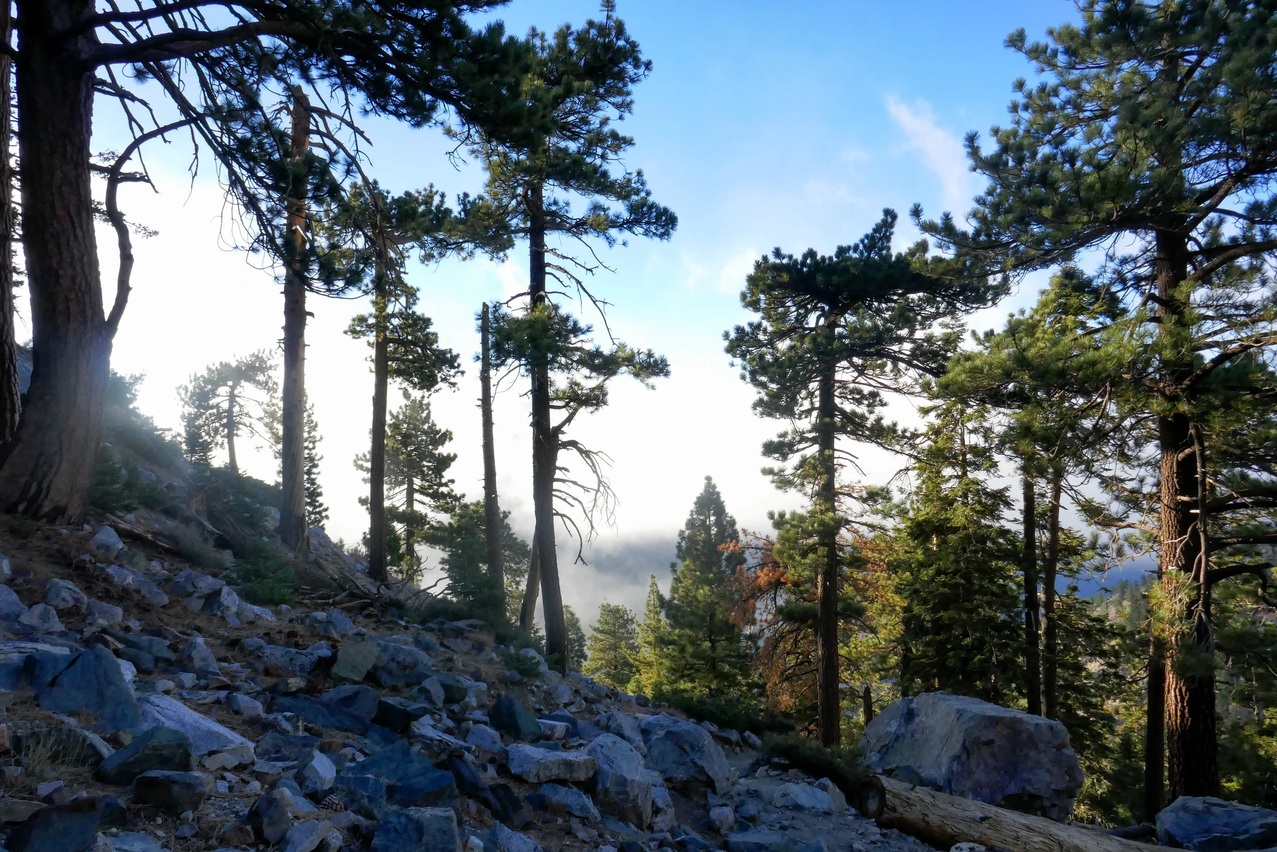 Views going up on the Baldy Bowl/Ski Hut Trail.