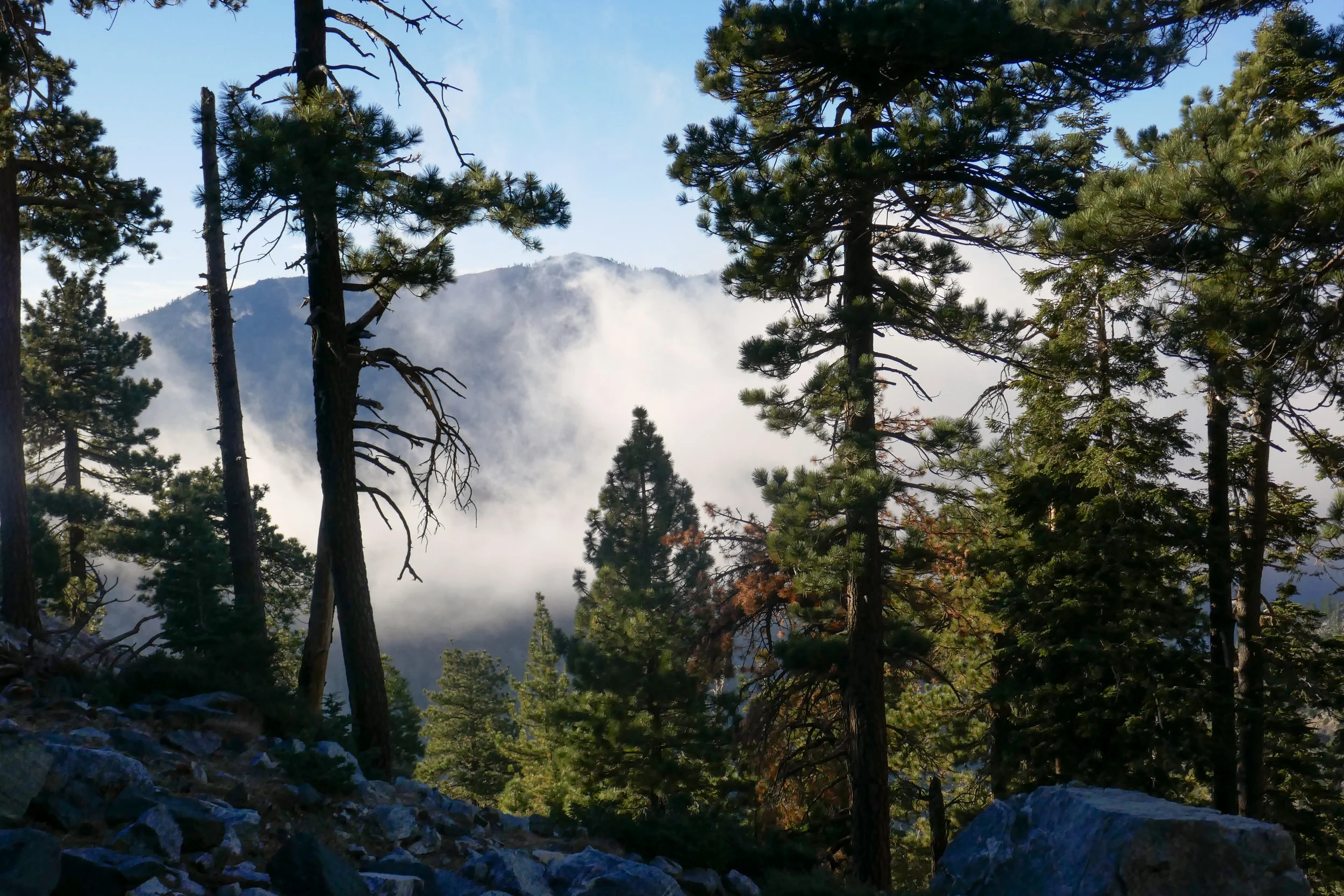 More views from Baldy Bowl/Ski Hut Trail.