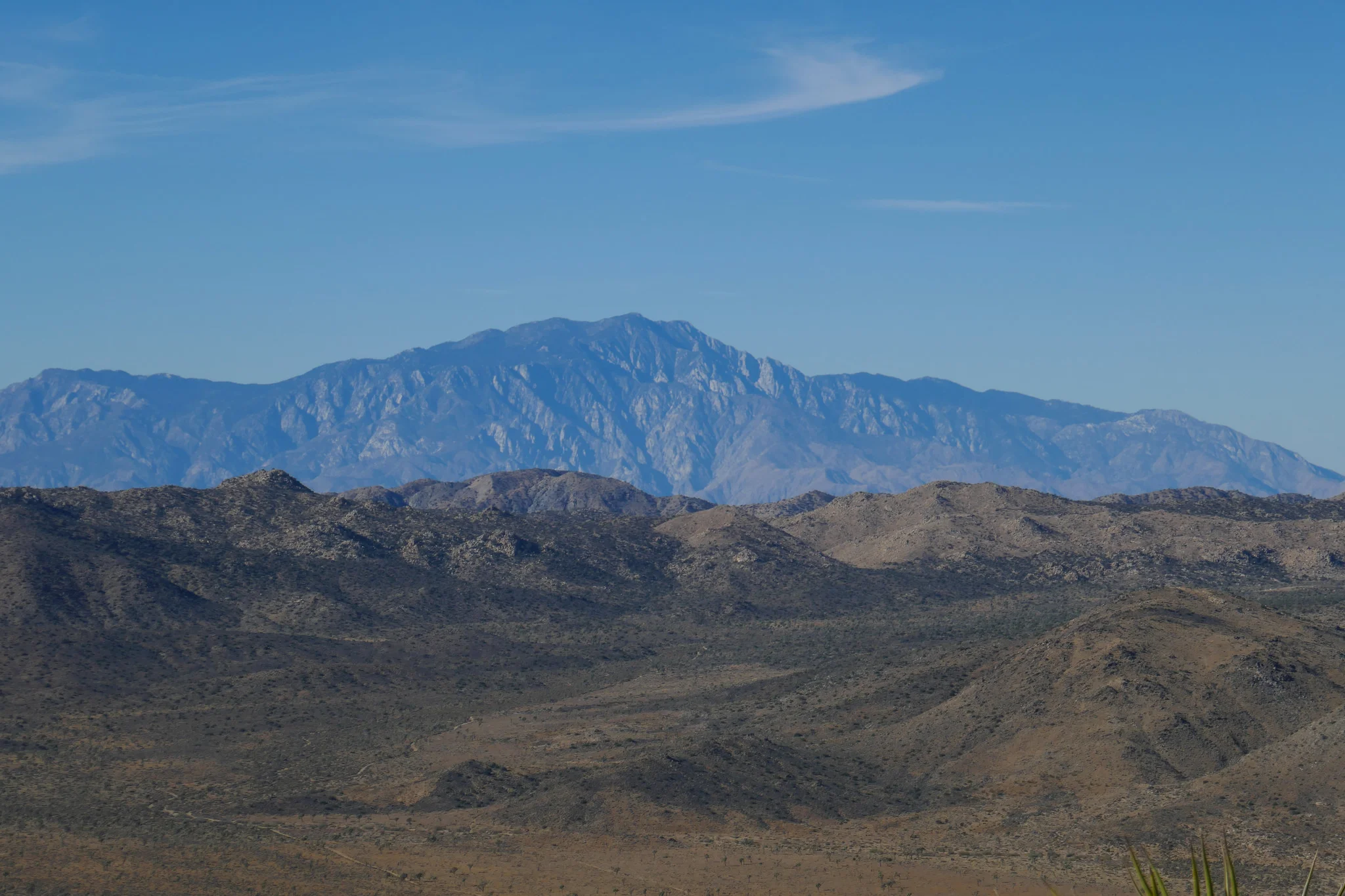 One day I will climb this giant!
